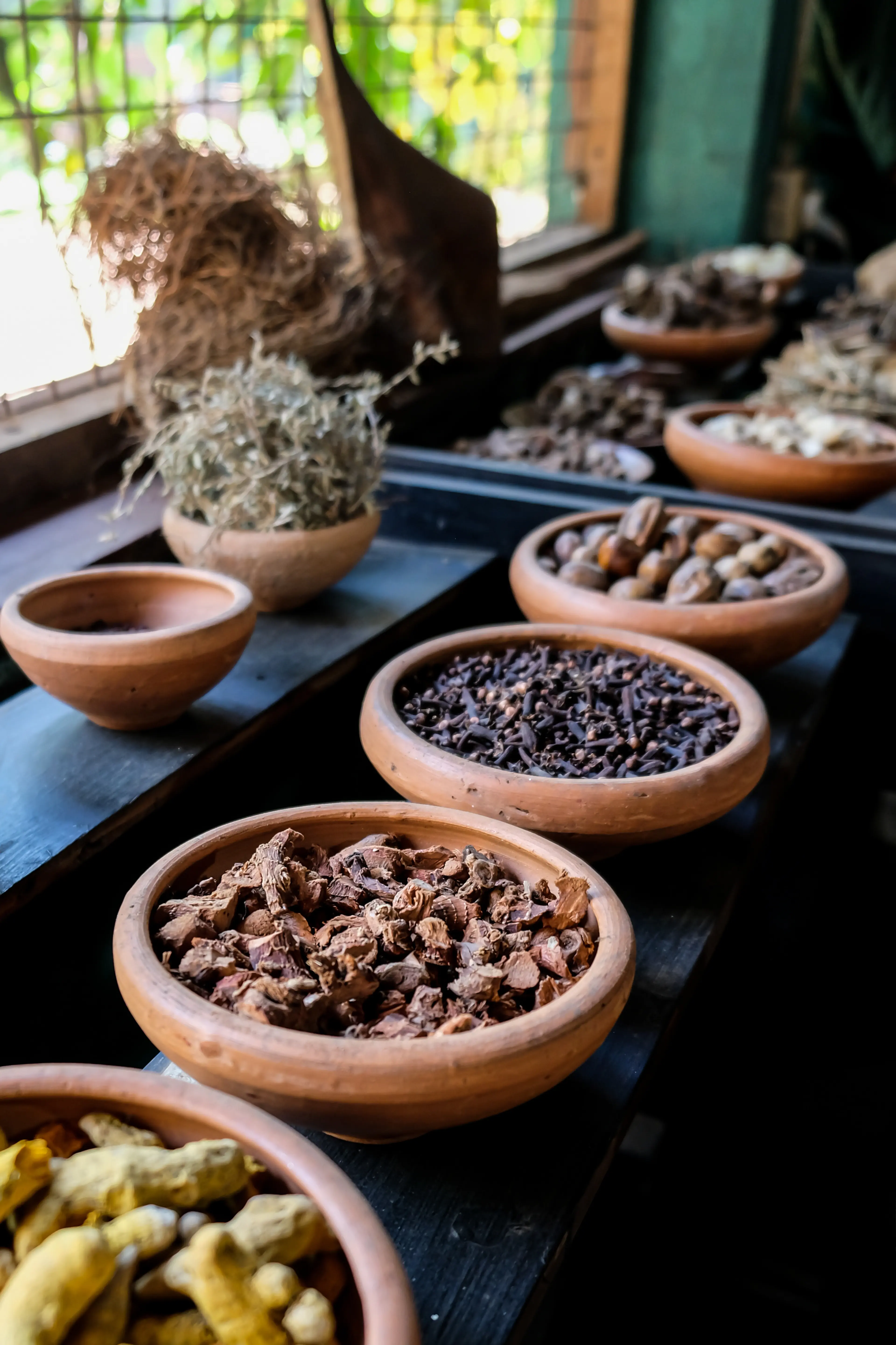 Spice Garden