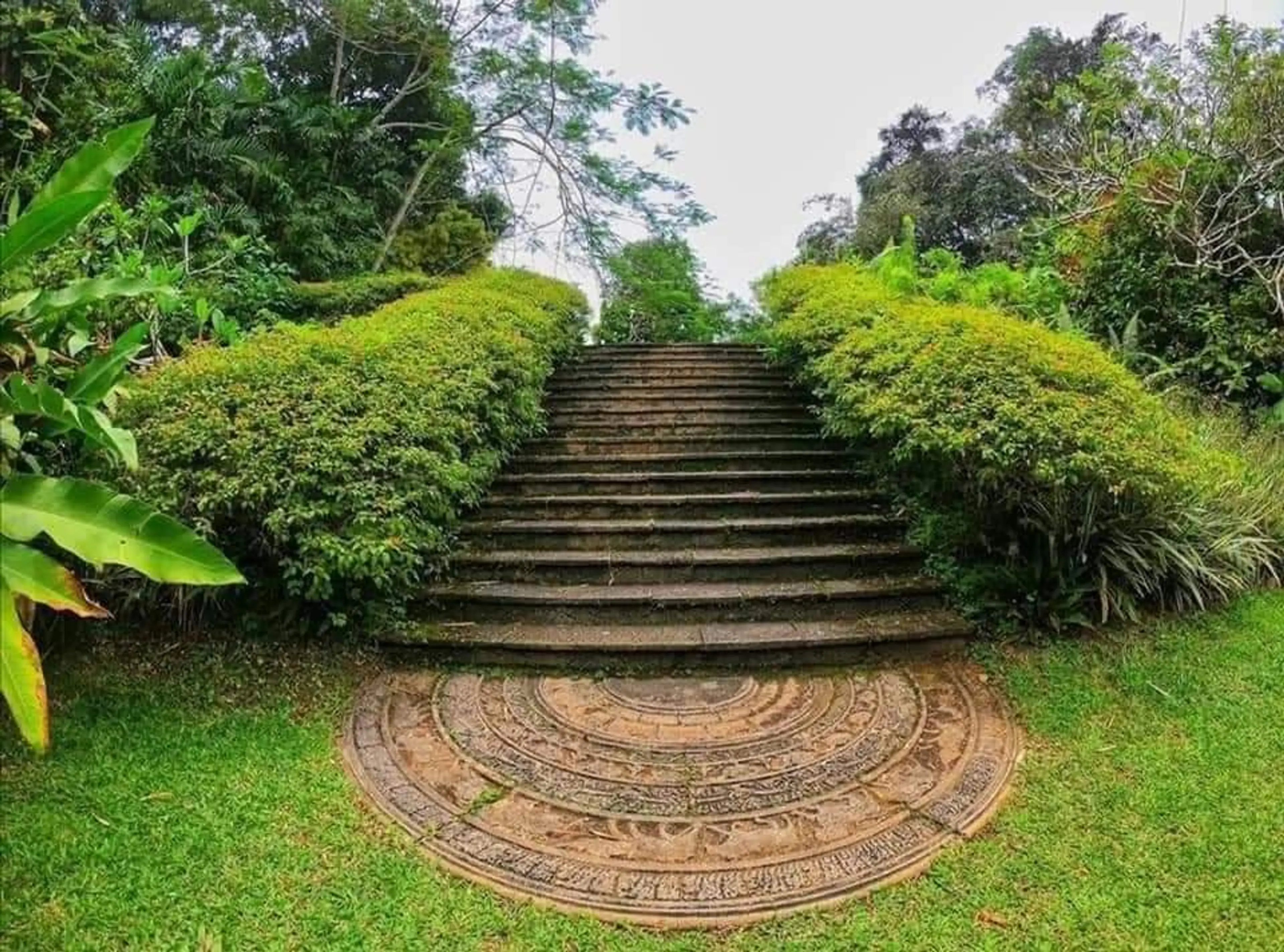 Brief Garden