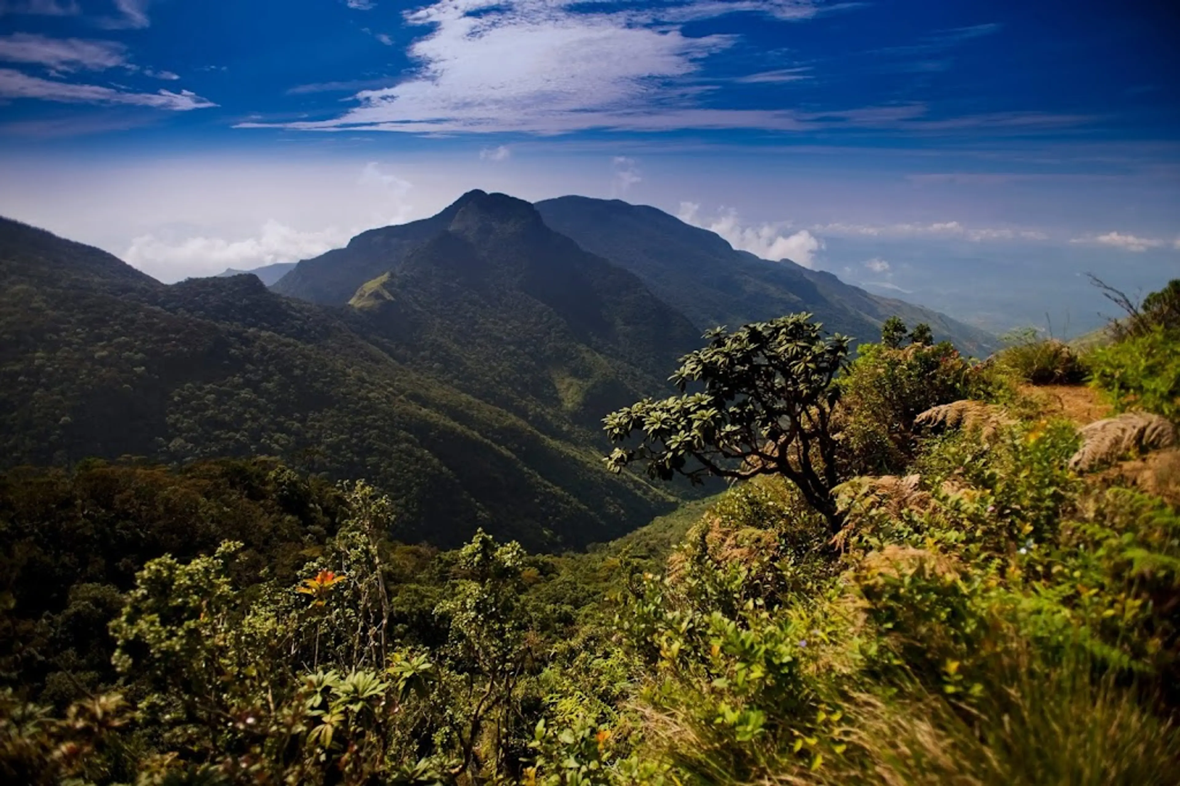 Horton Plains National Park