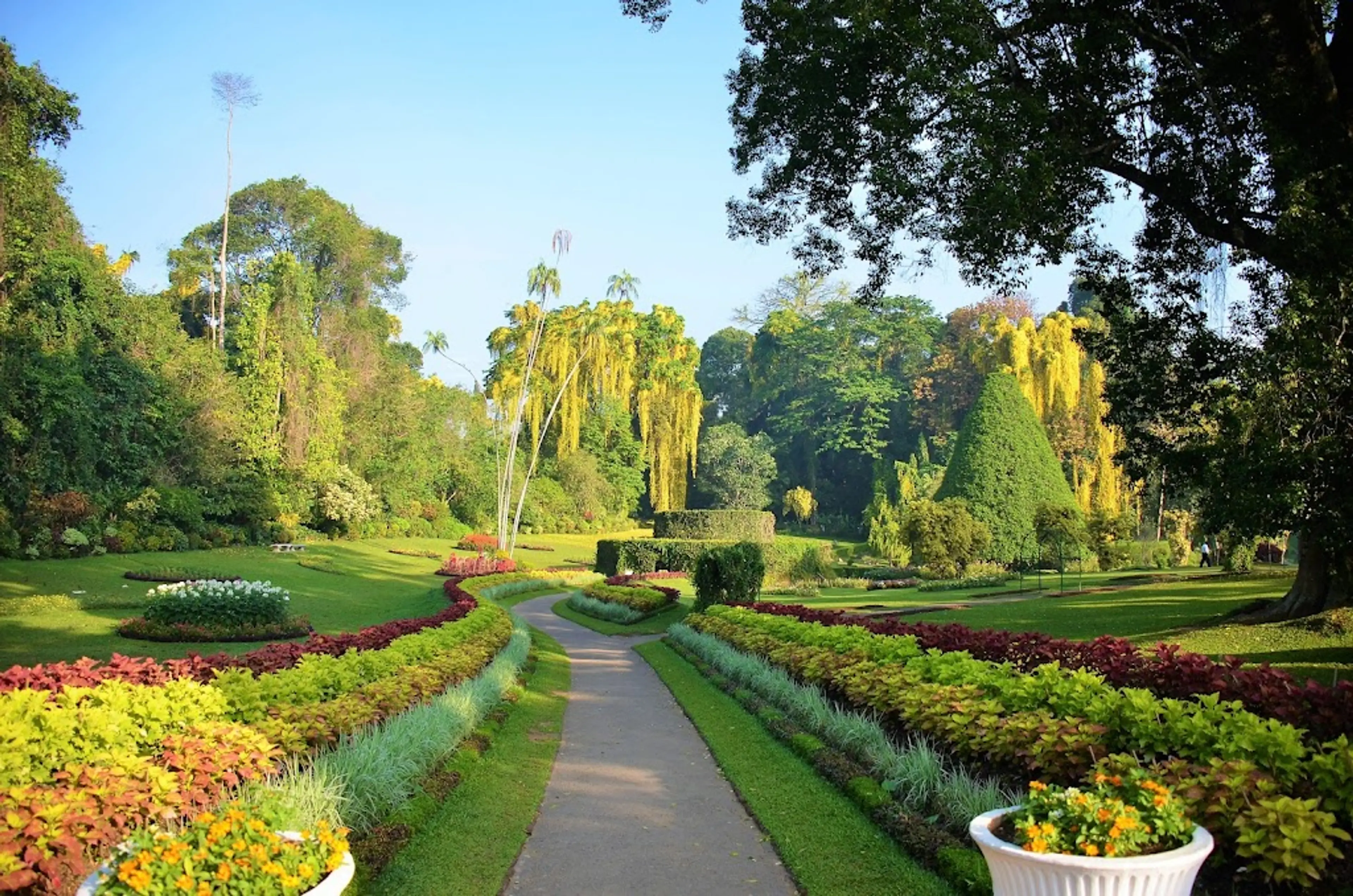 Royal Botanical Gardens in Peradeniya