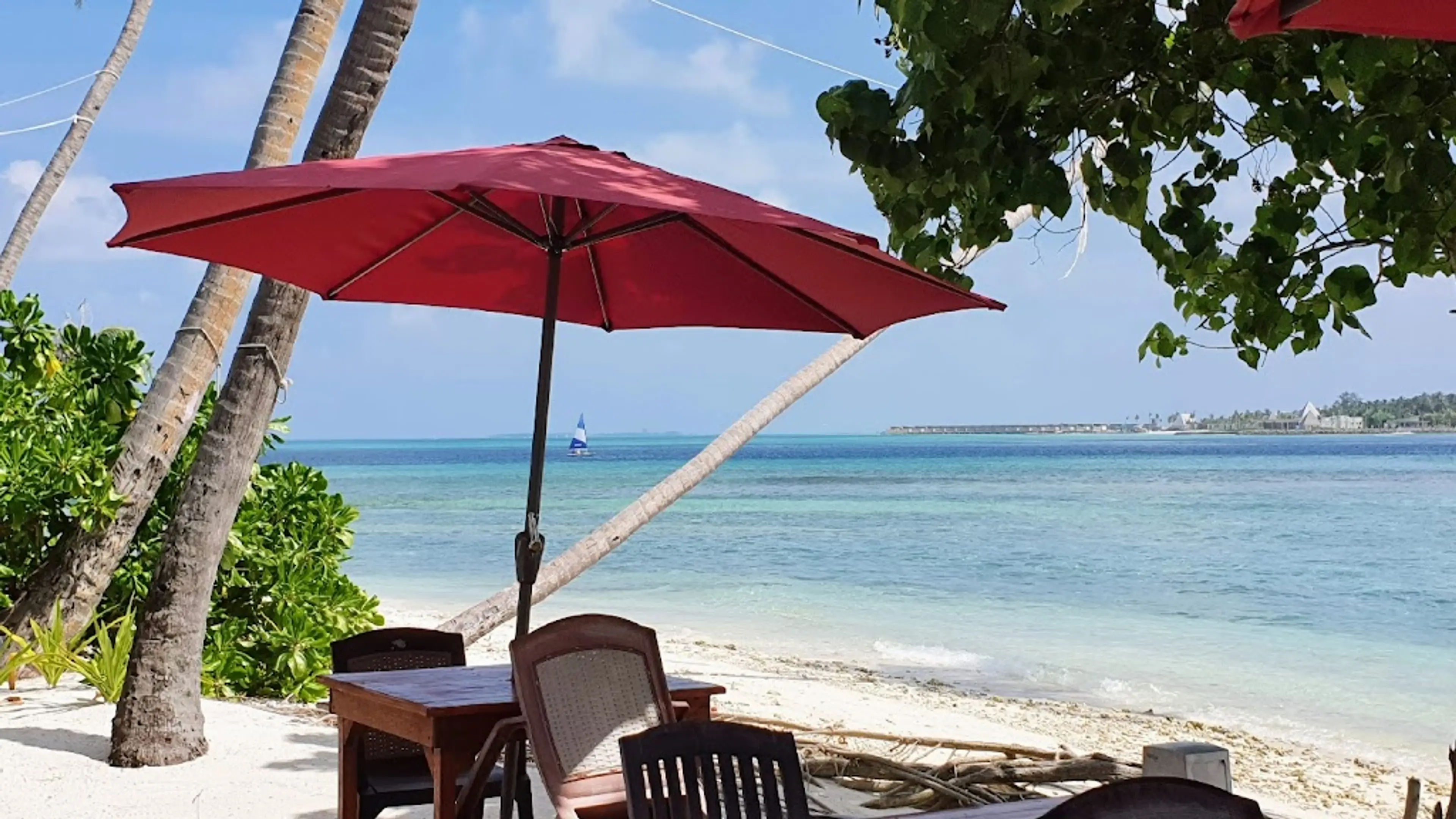 Beachfront lunch
