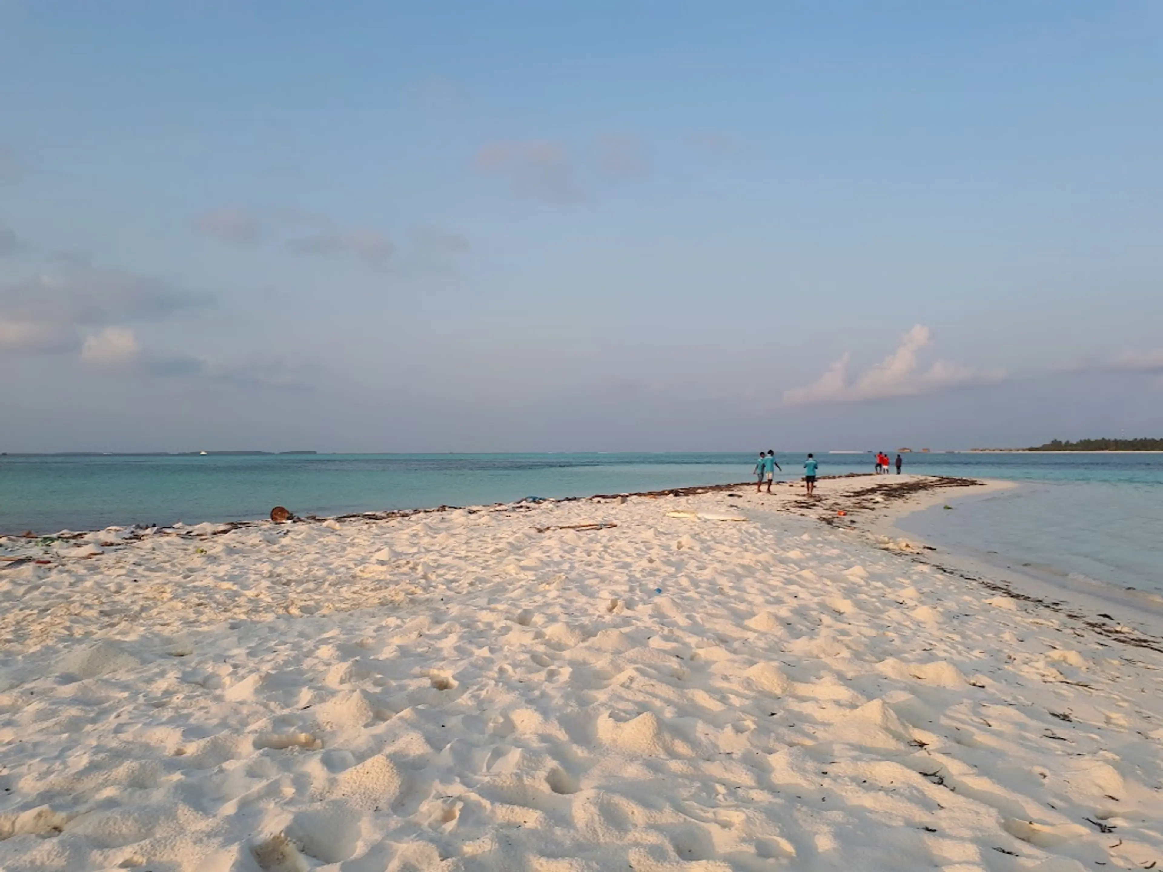 Beach Picnic
