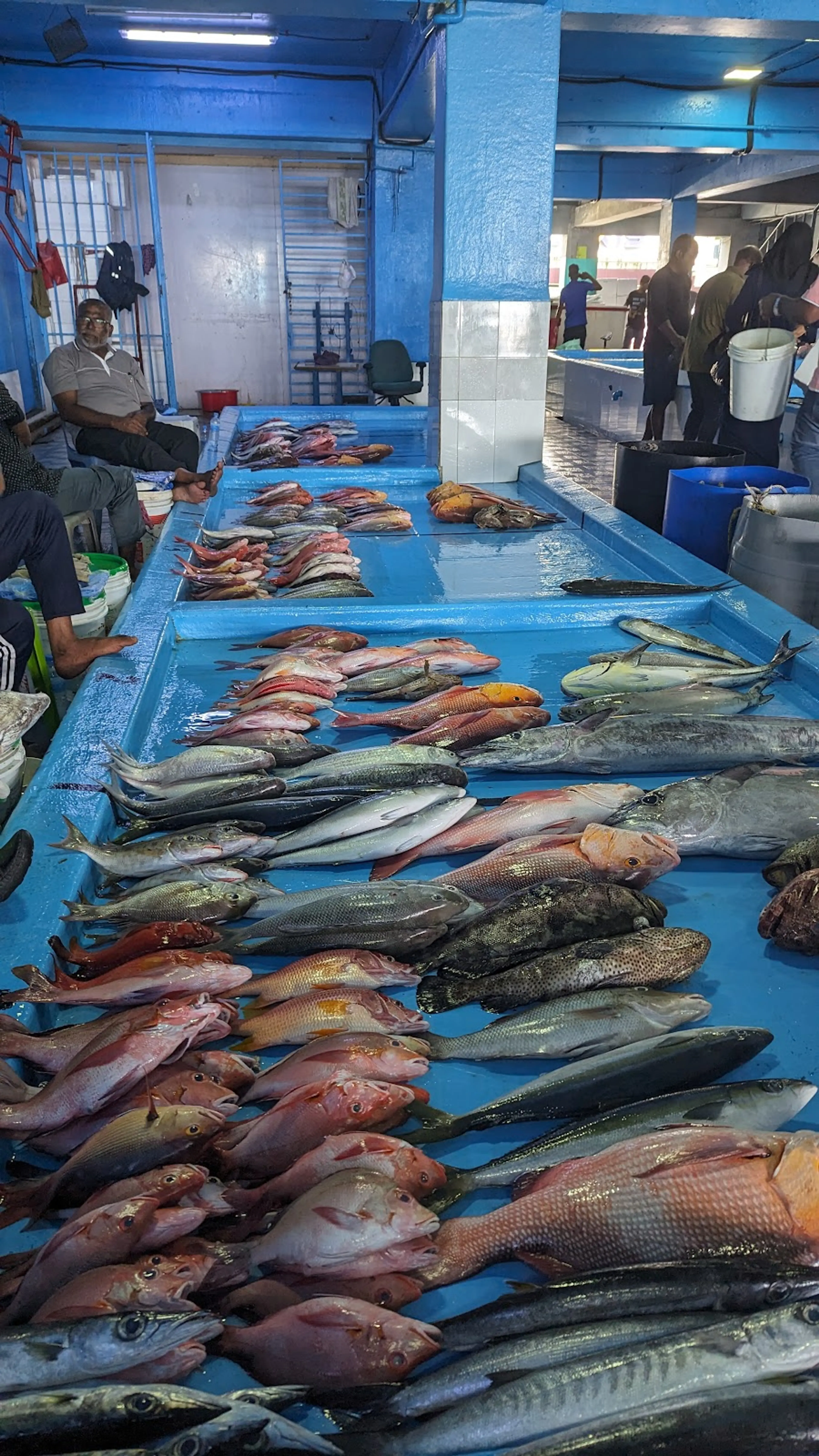 Fish Market