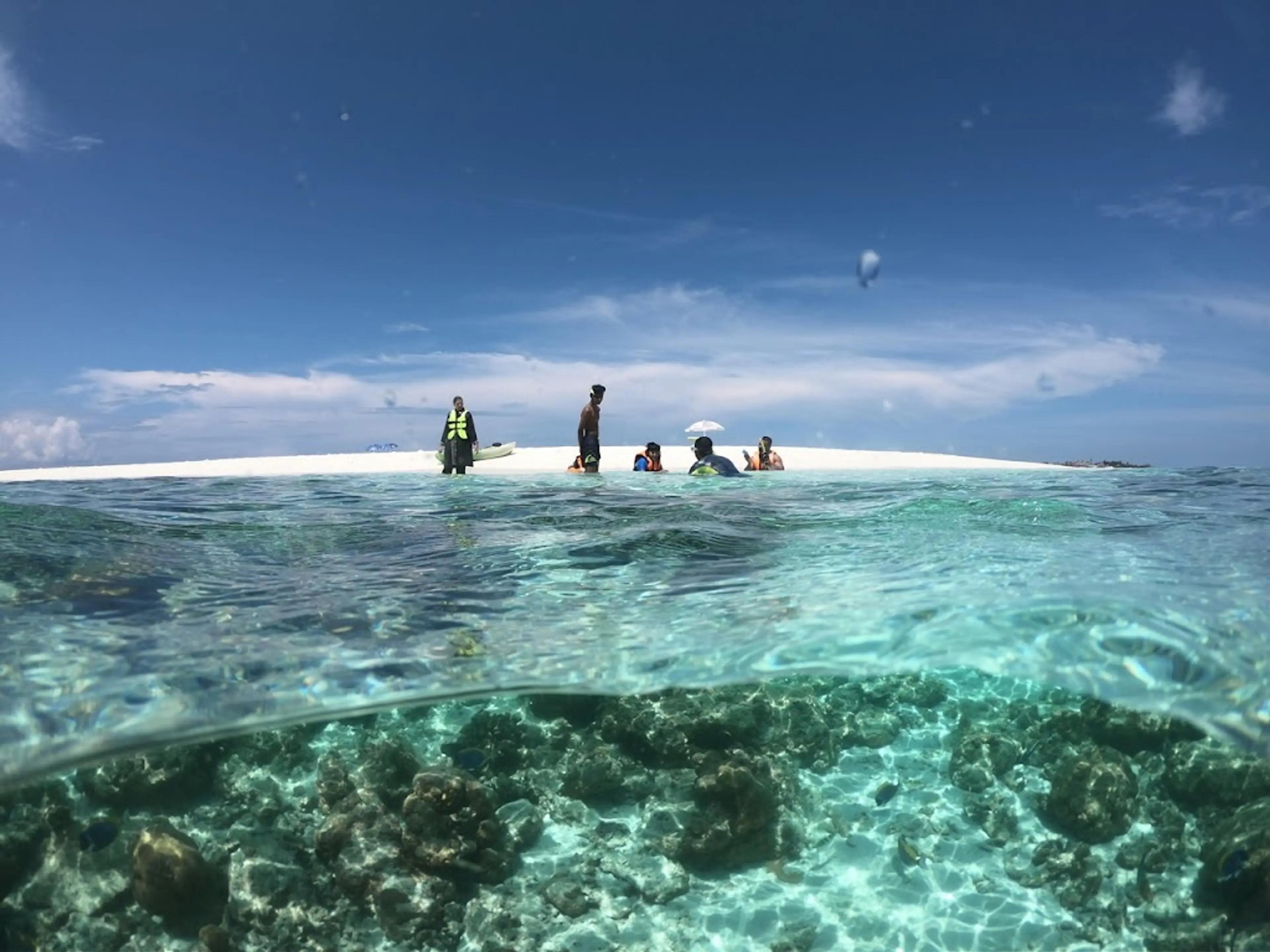 Guided snorkeling tour