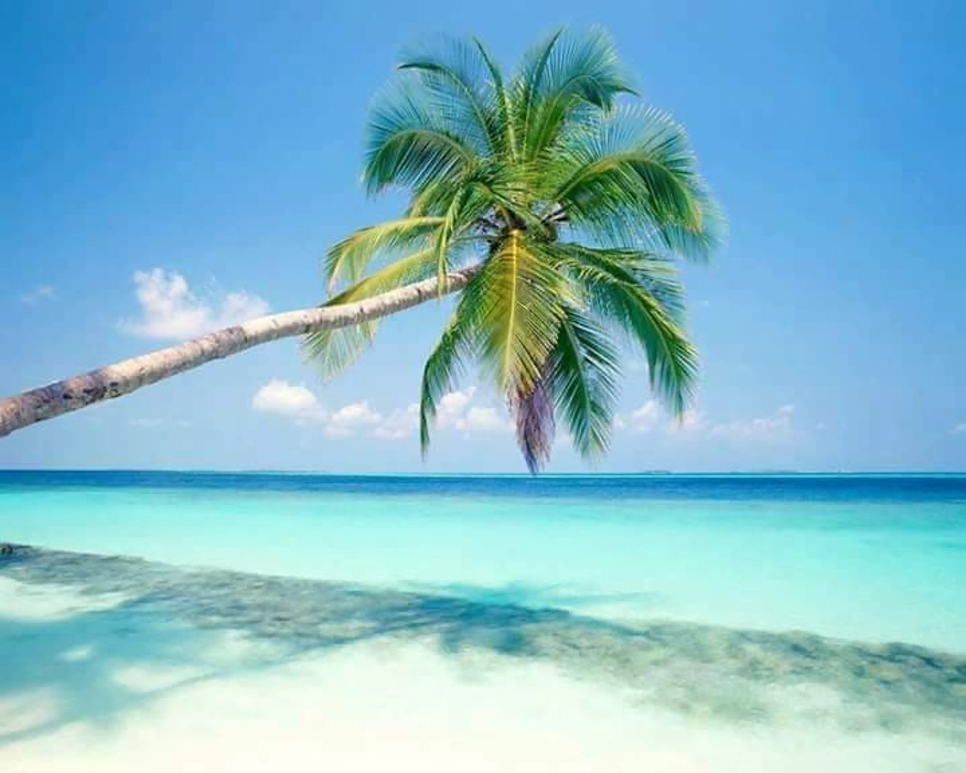 Island Exploration