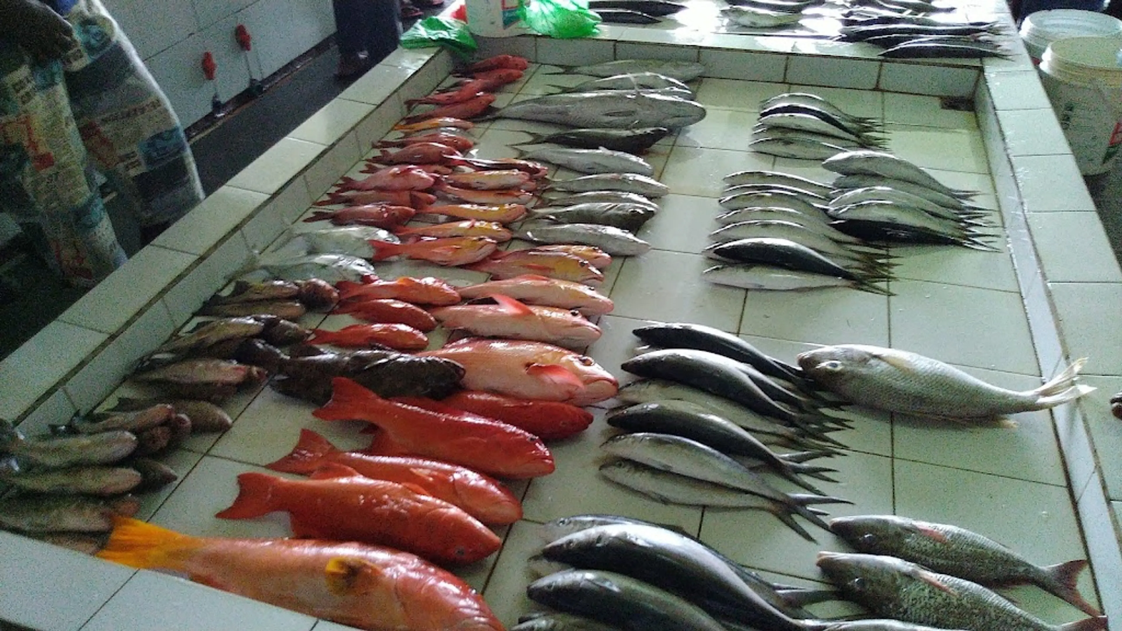 Maldives Fish Market