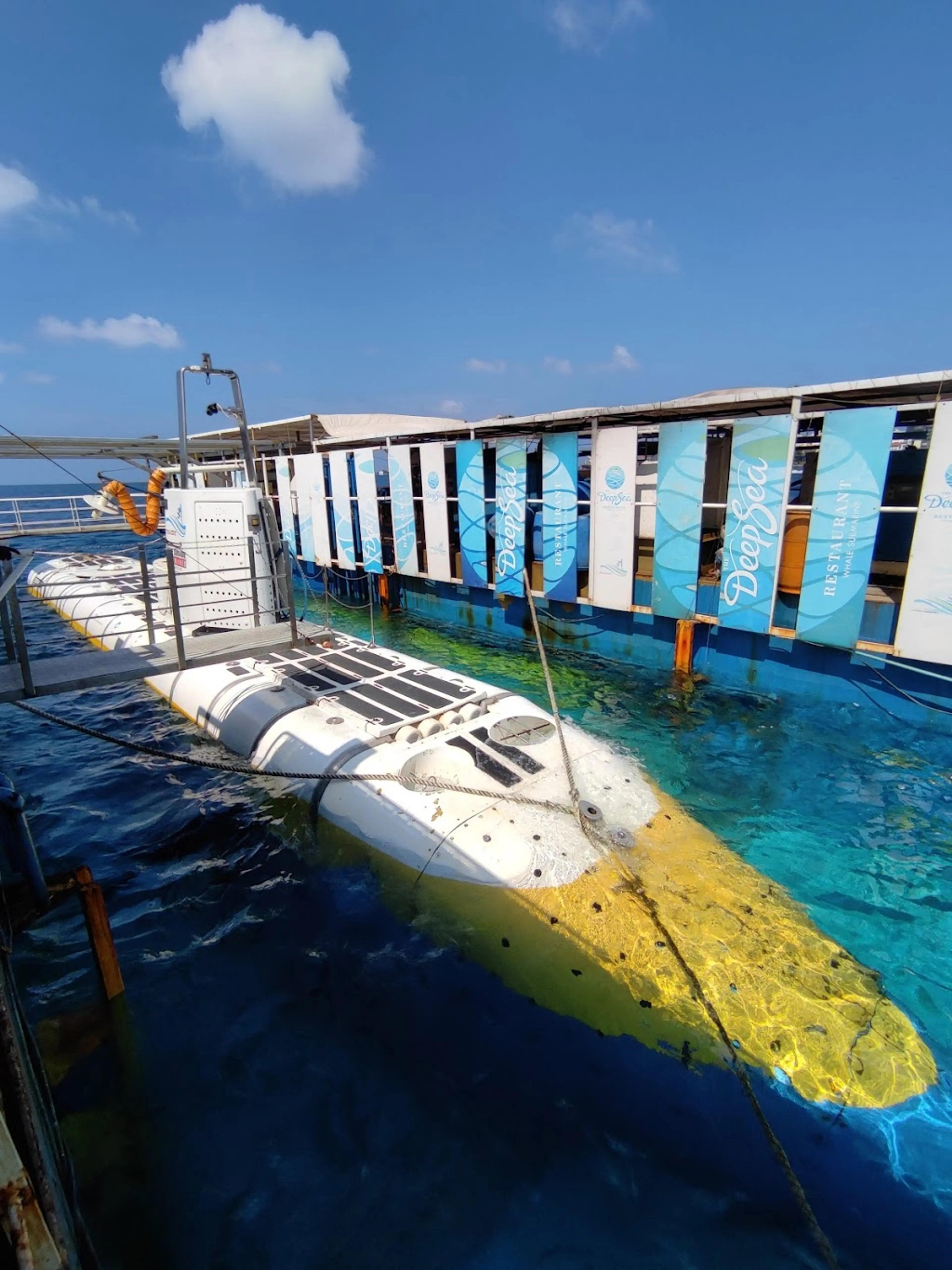 Maldives Whale Submarine
