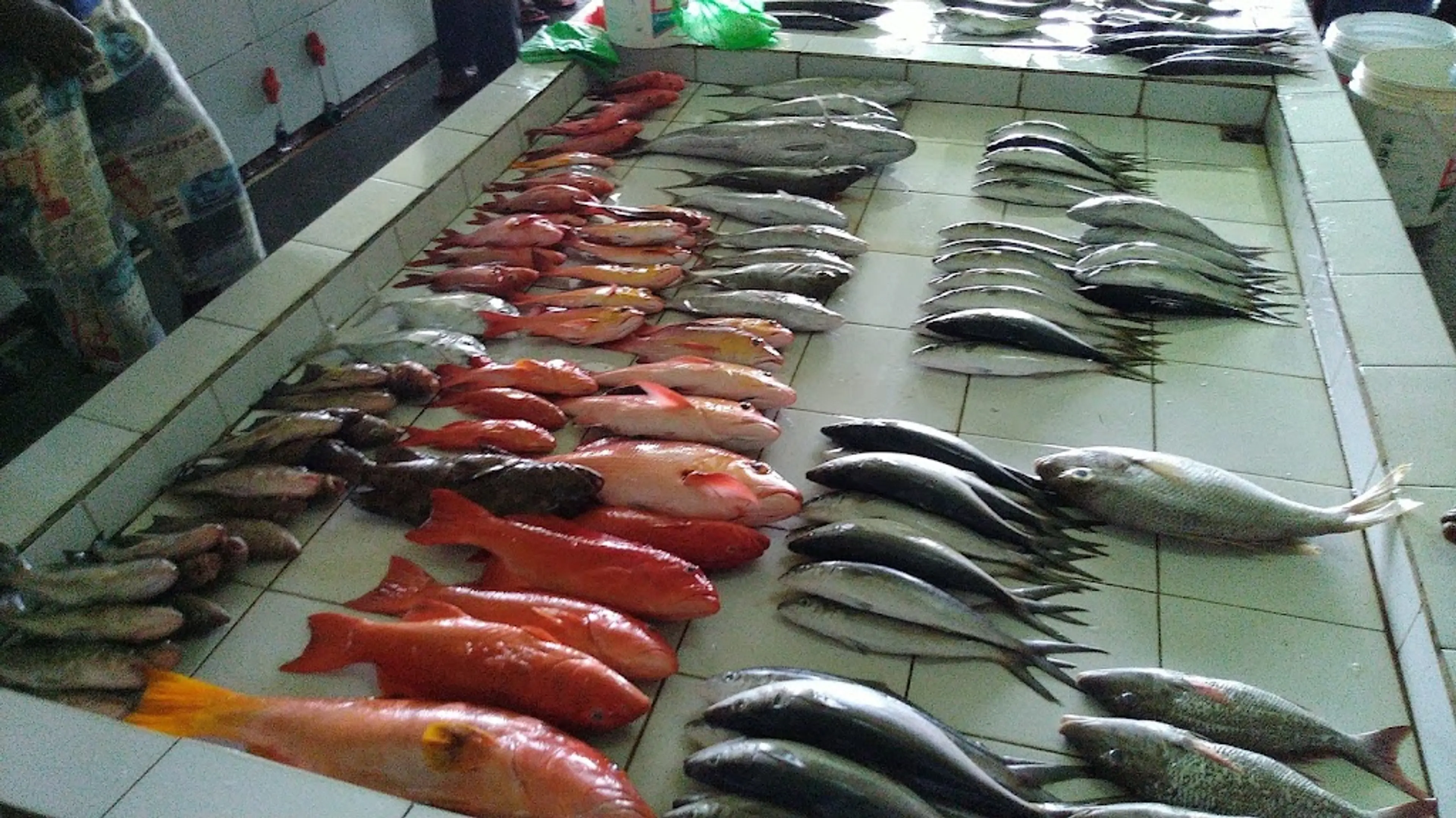 Malé Fish Market
