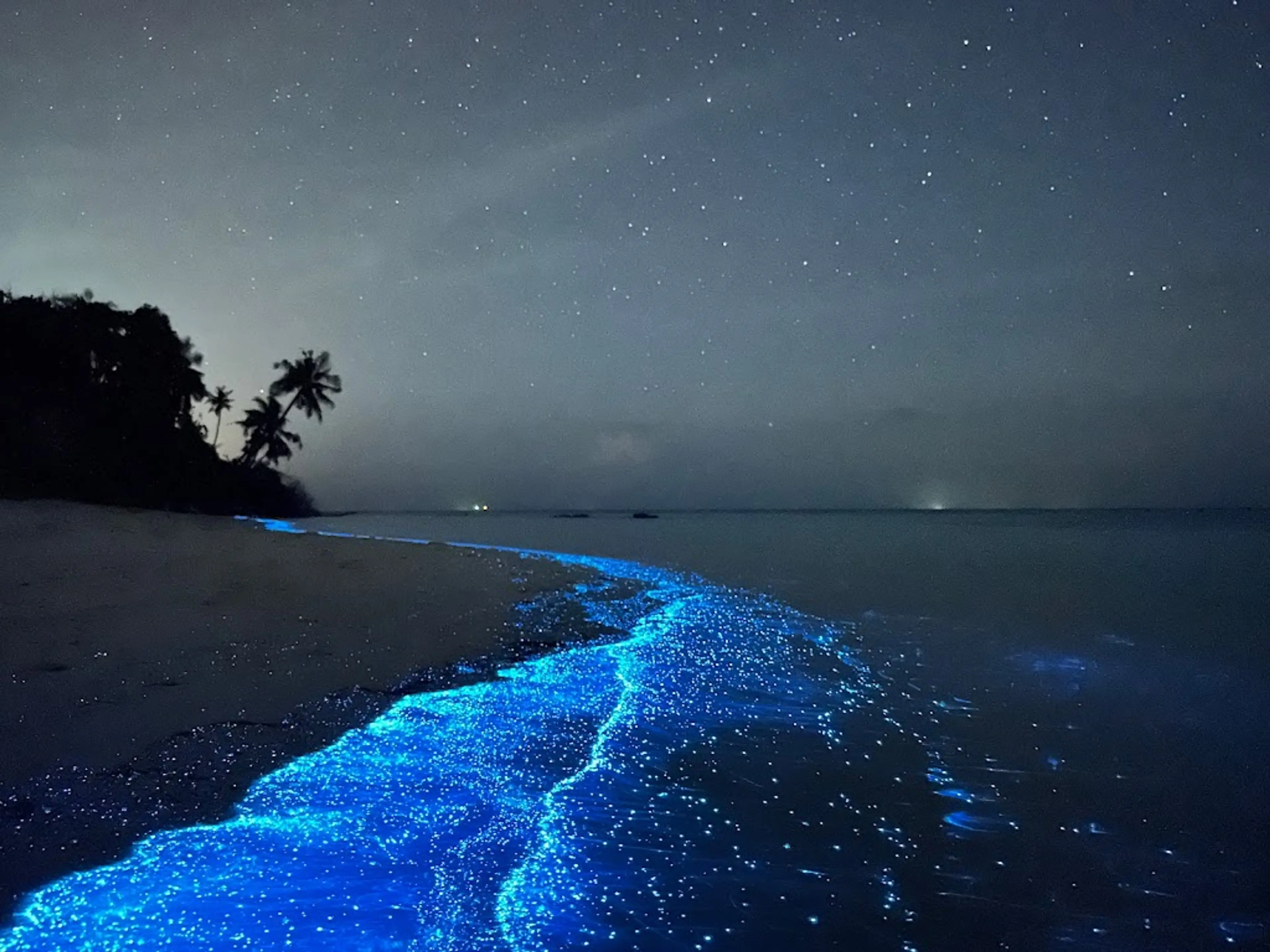 Sea of Stars