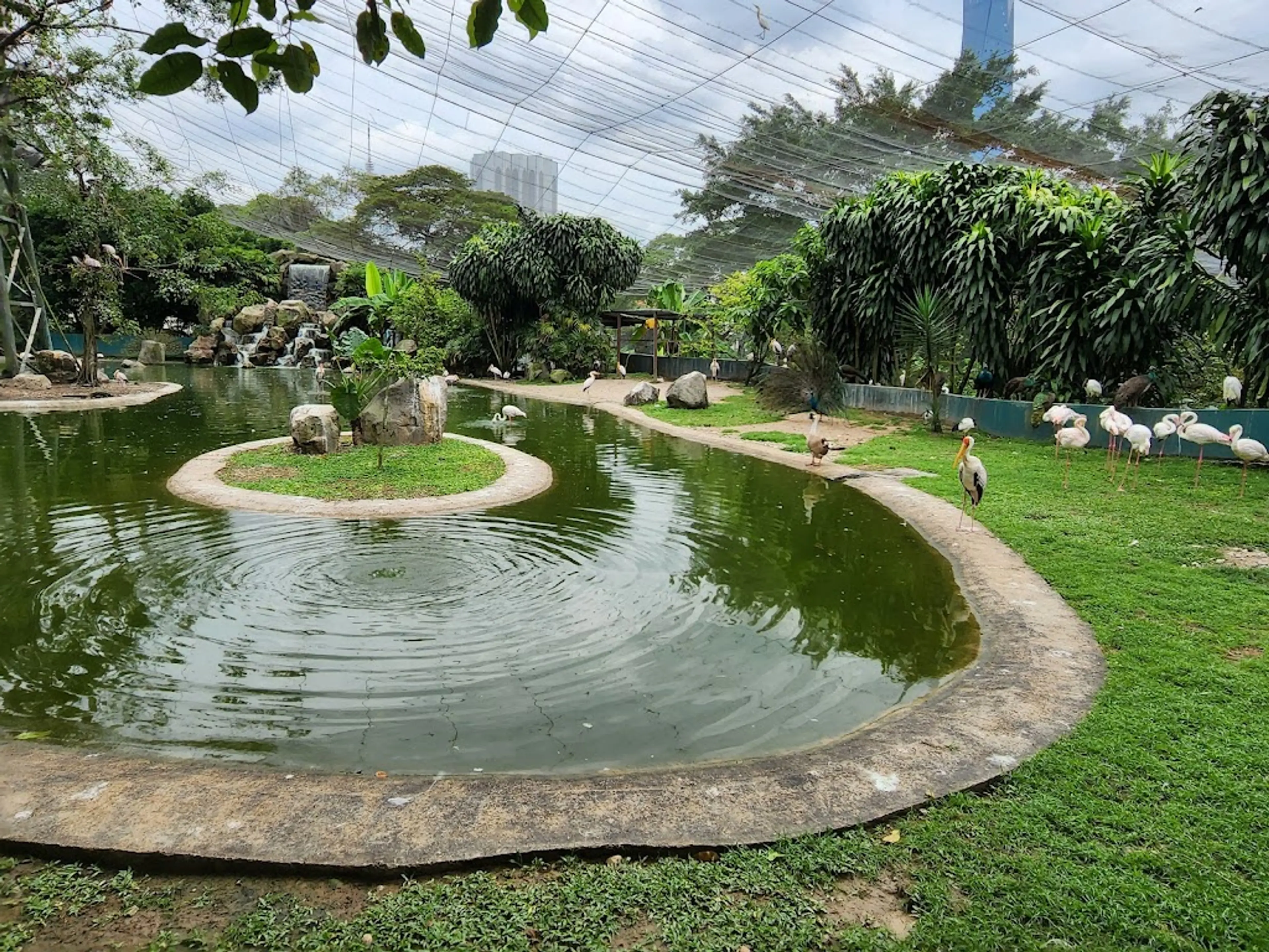 Kuala Lumpur Bird Park