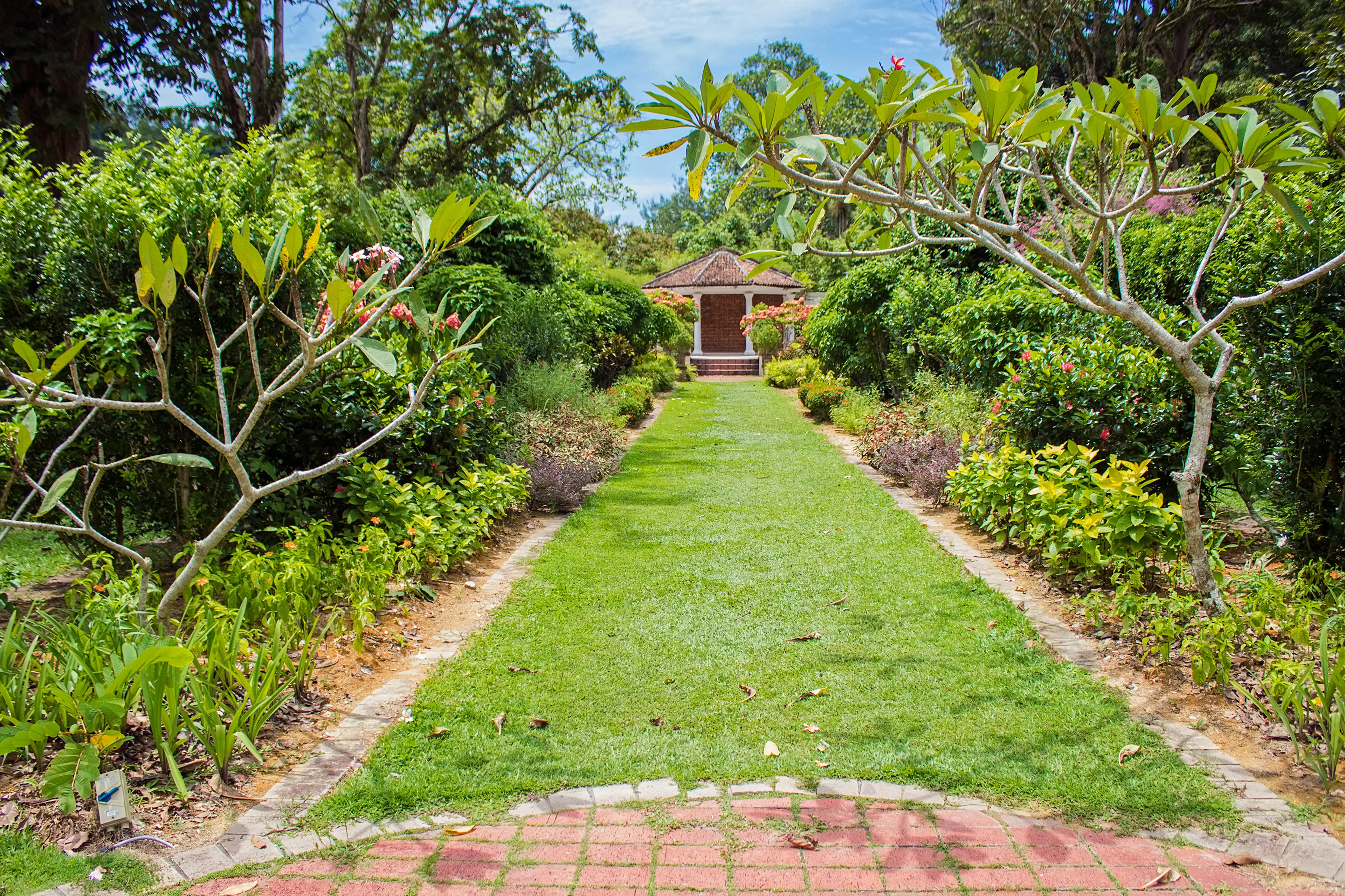 Penang Botanic Gardens