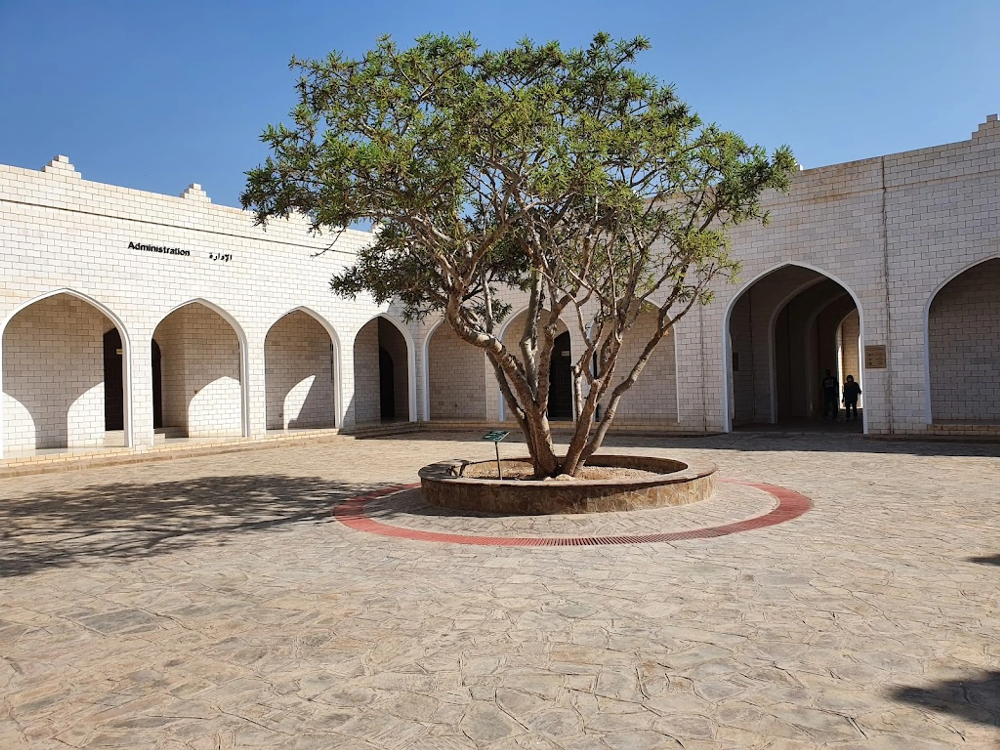 Frankincense Land Museum