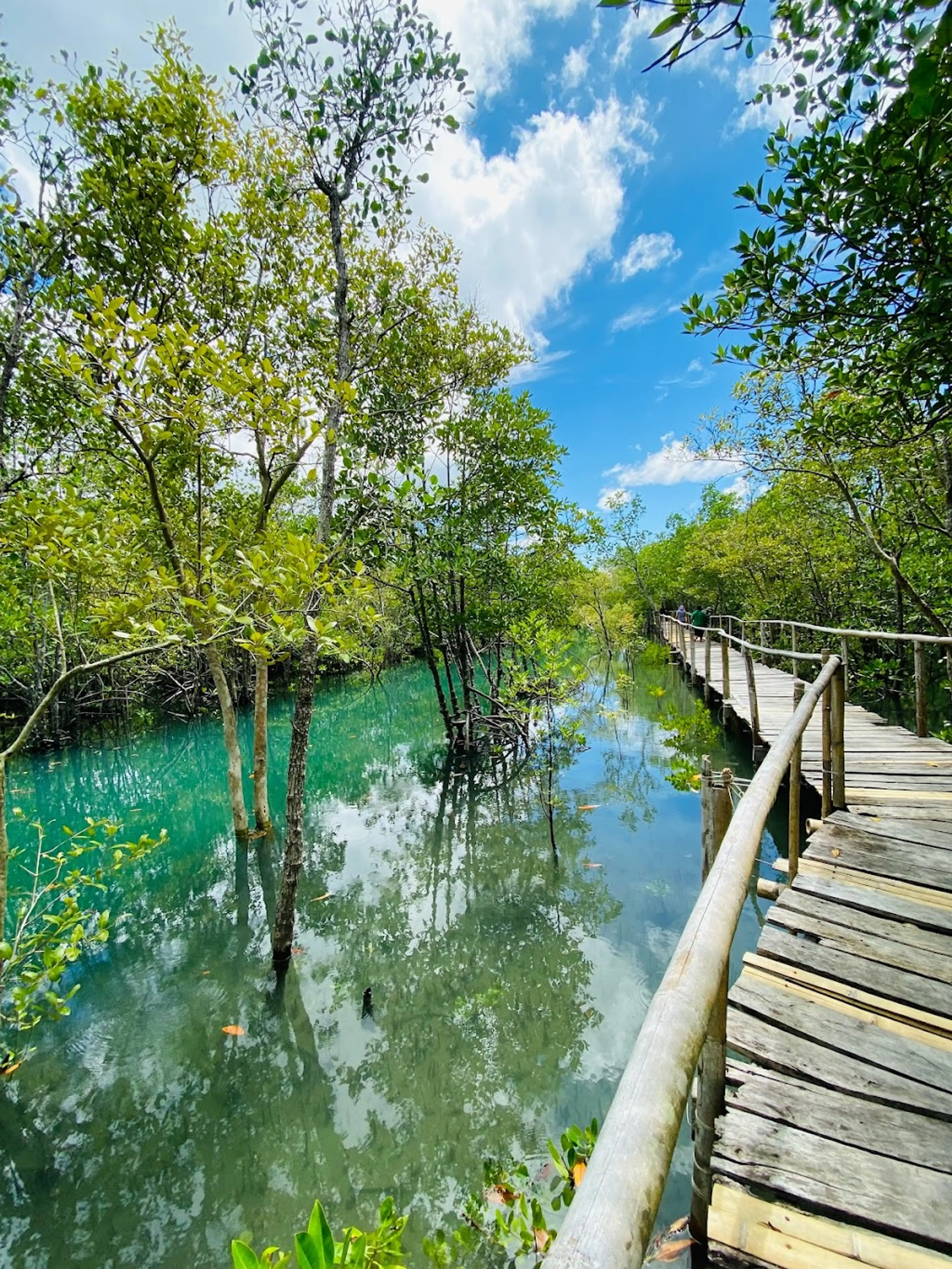 Bakhawan Eco-Park