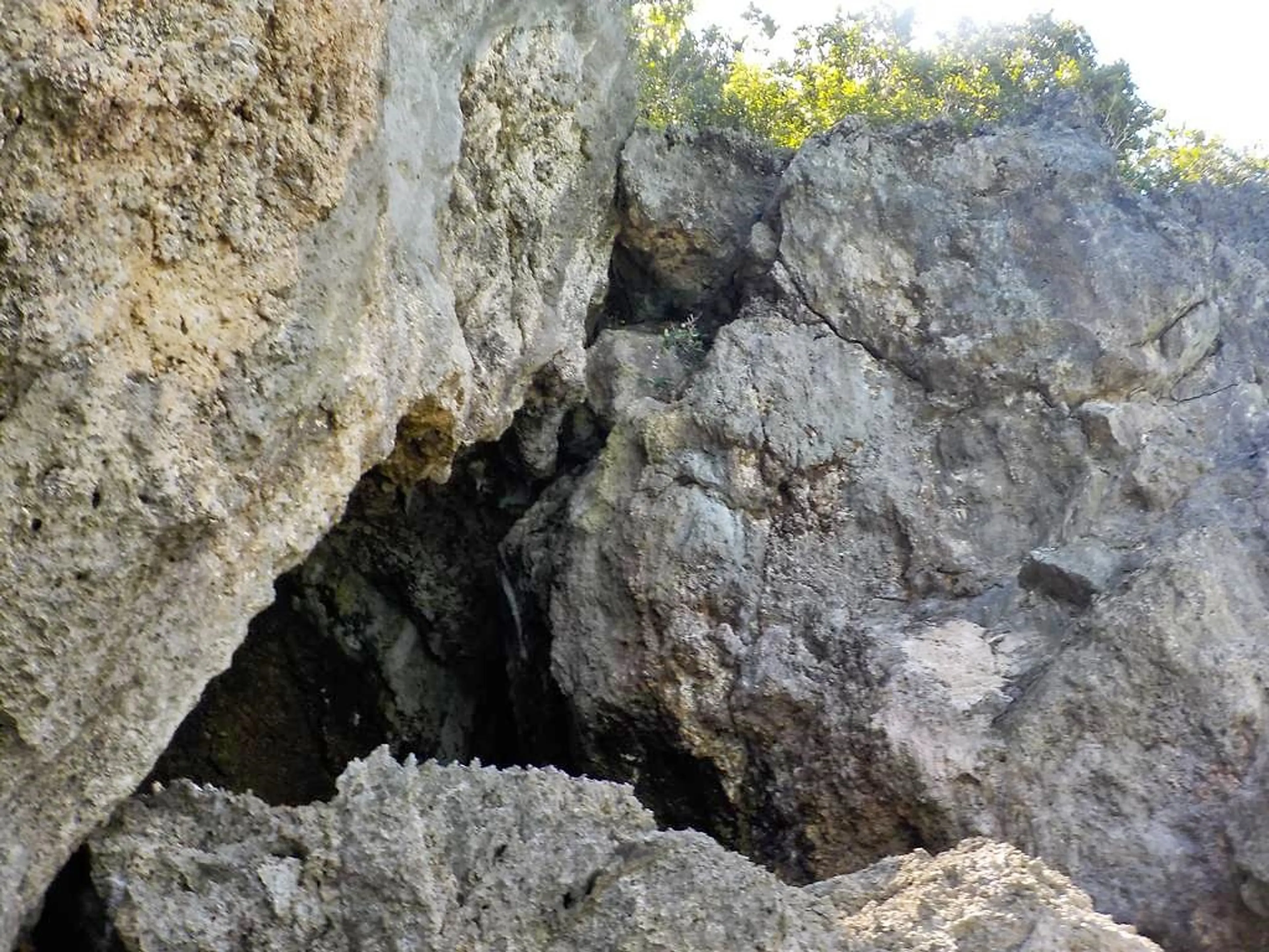Bat Caves
