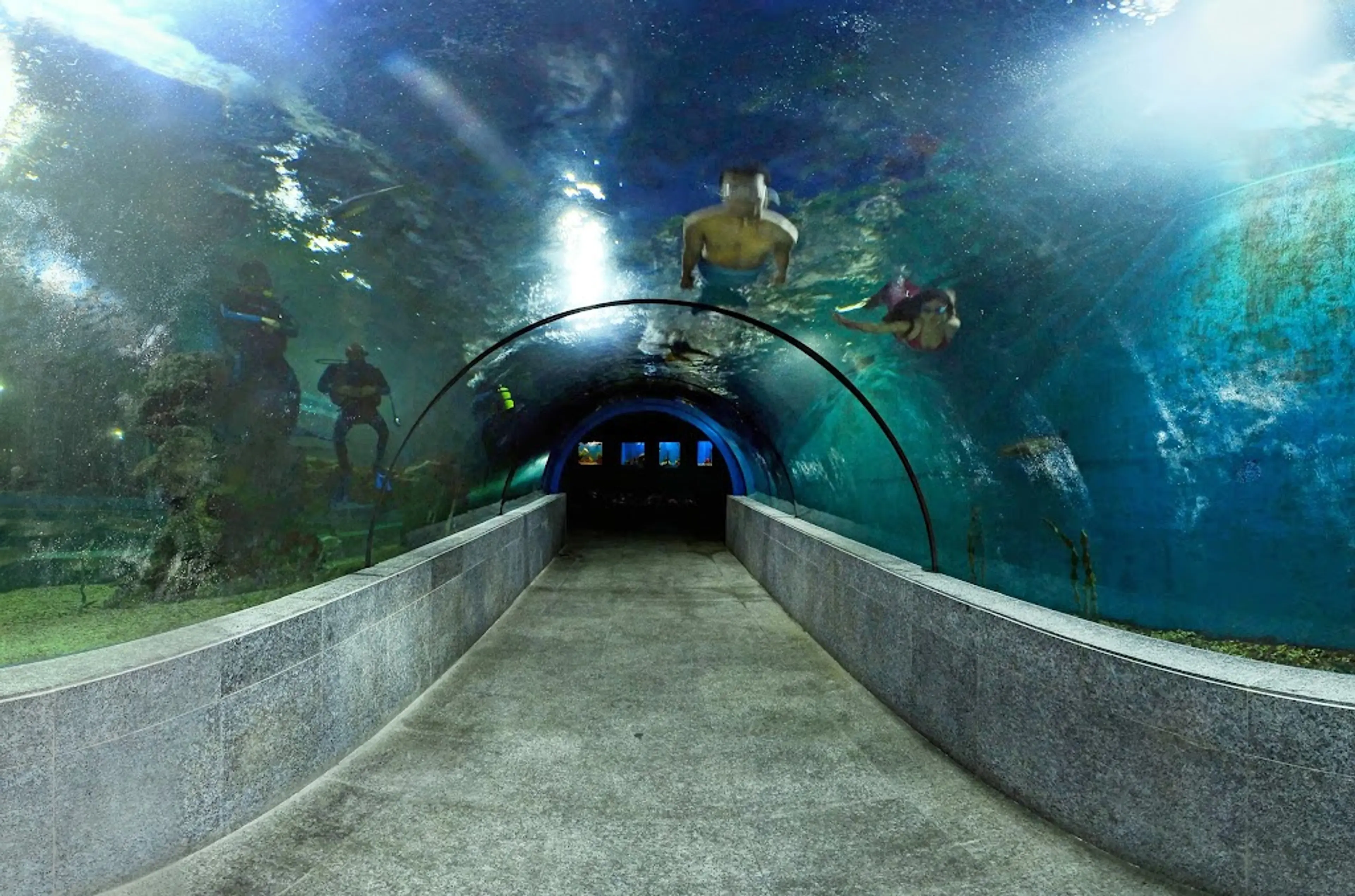 Boracay Oceanarium