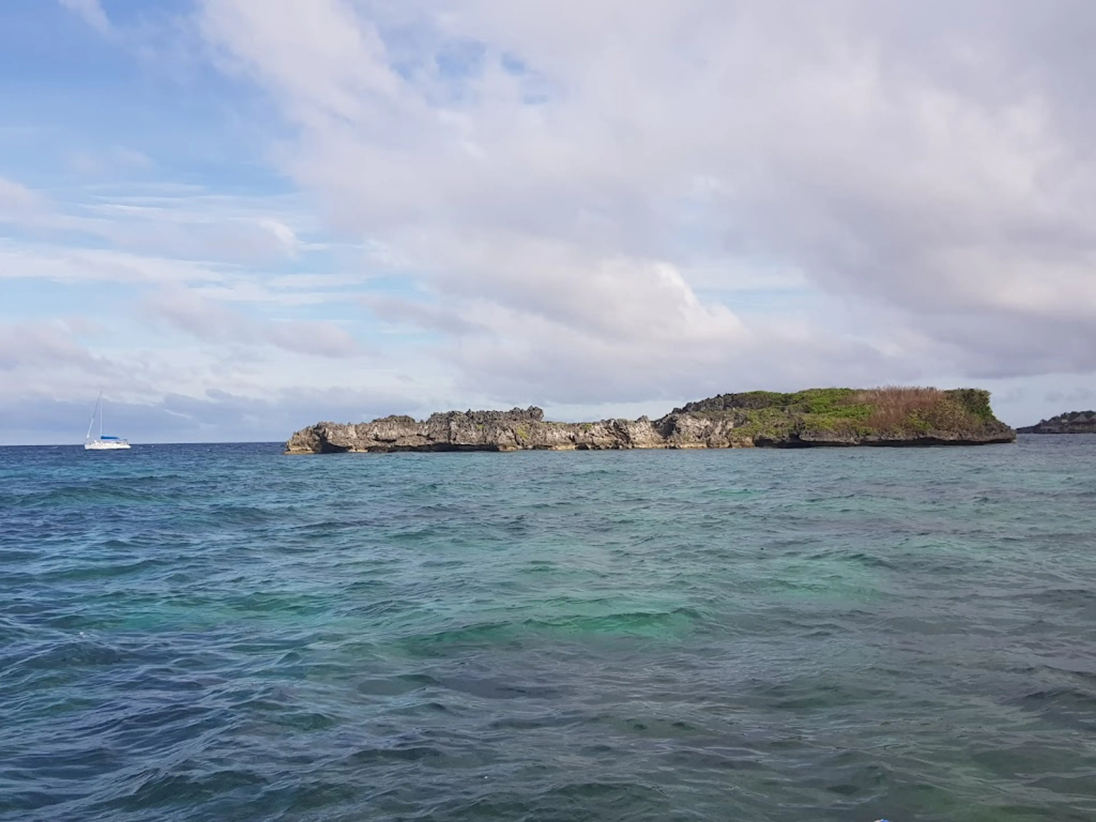 Crocodile Island