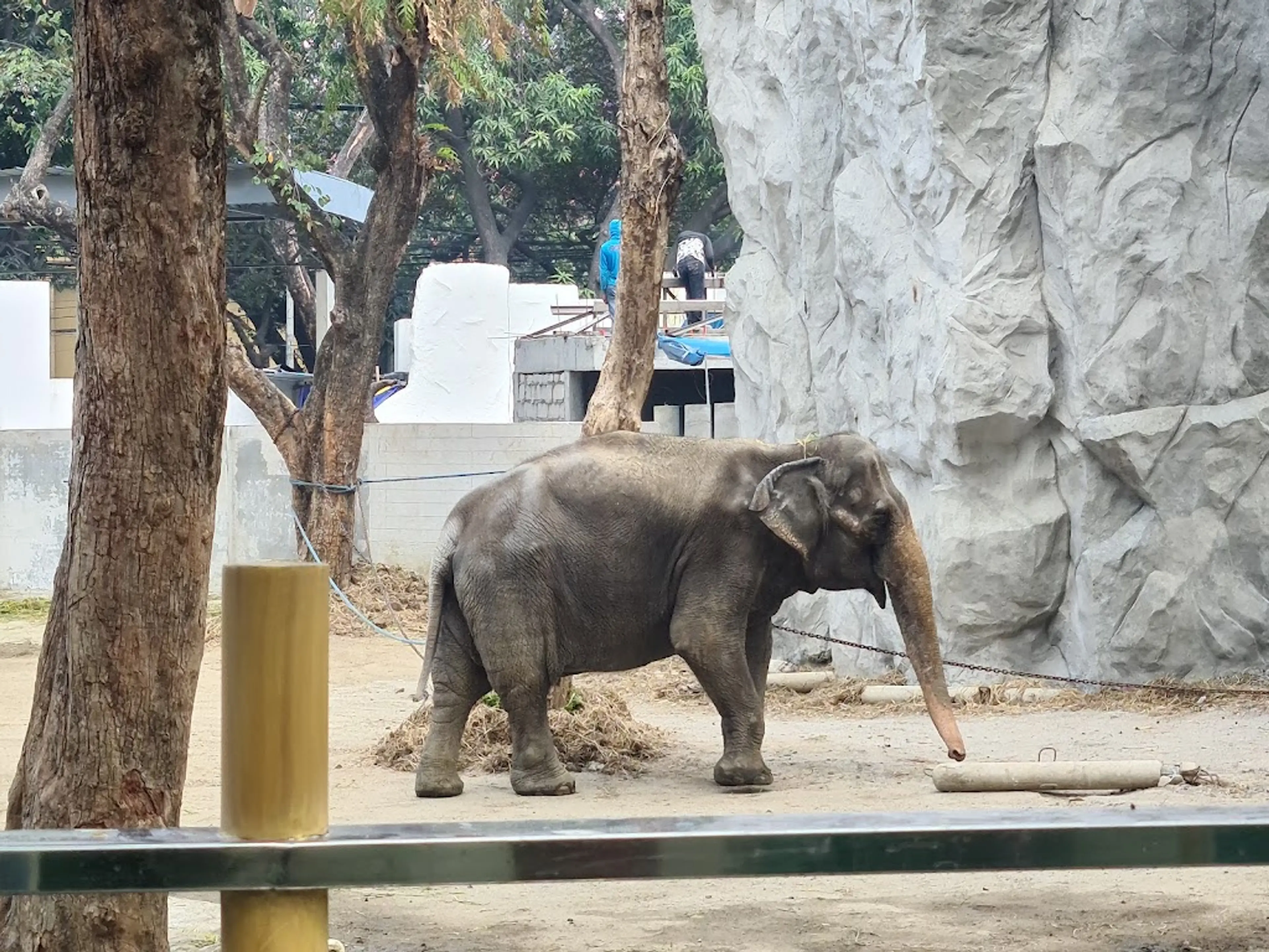Manila Zoo