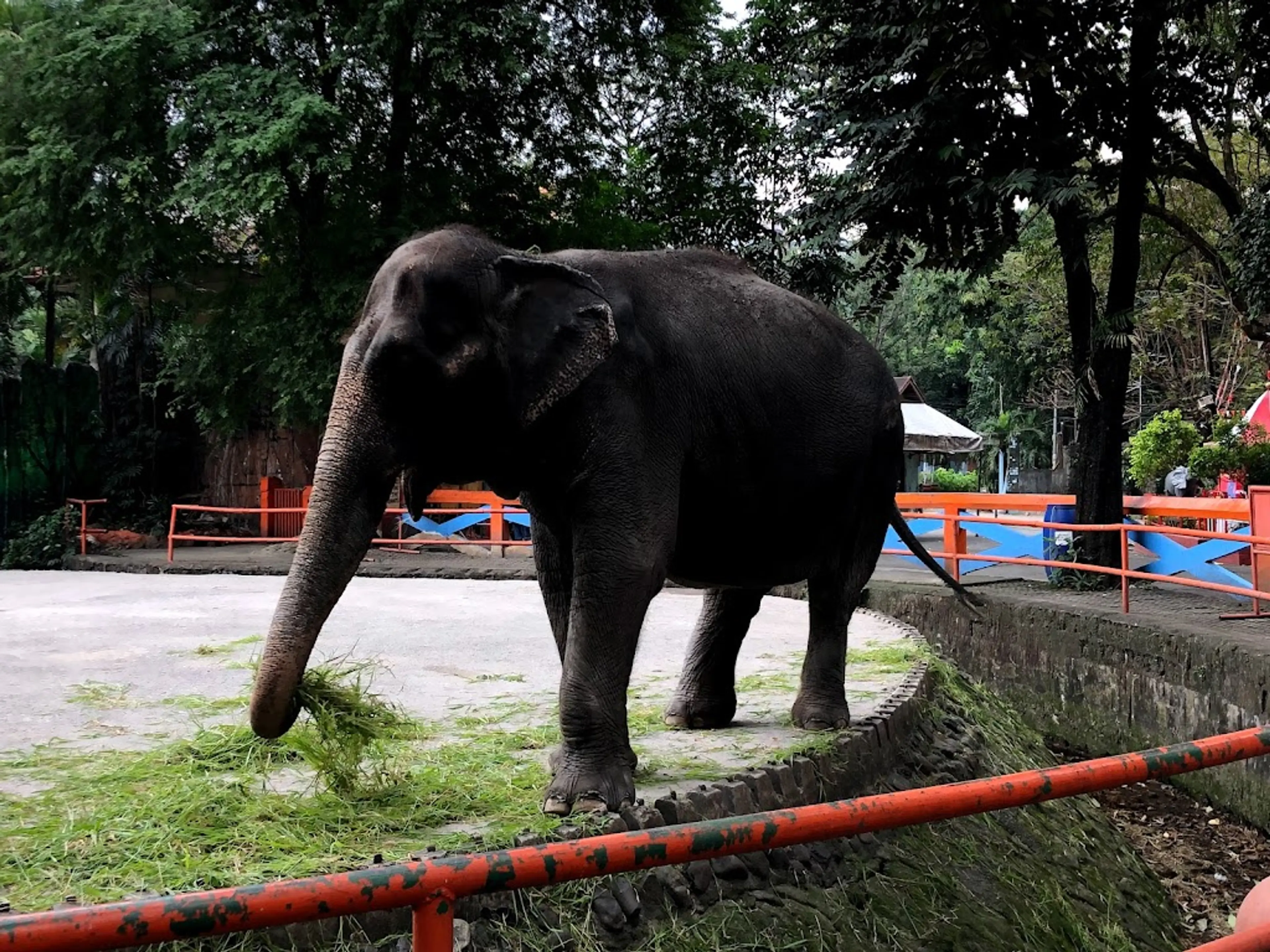 Manila Zoo and Botanical Garden