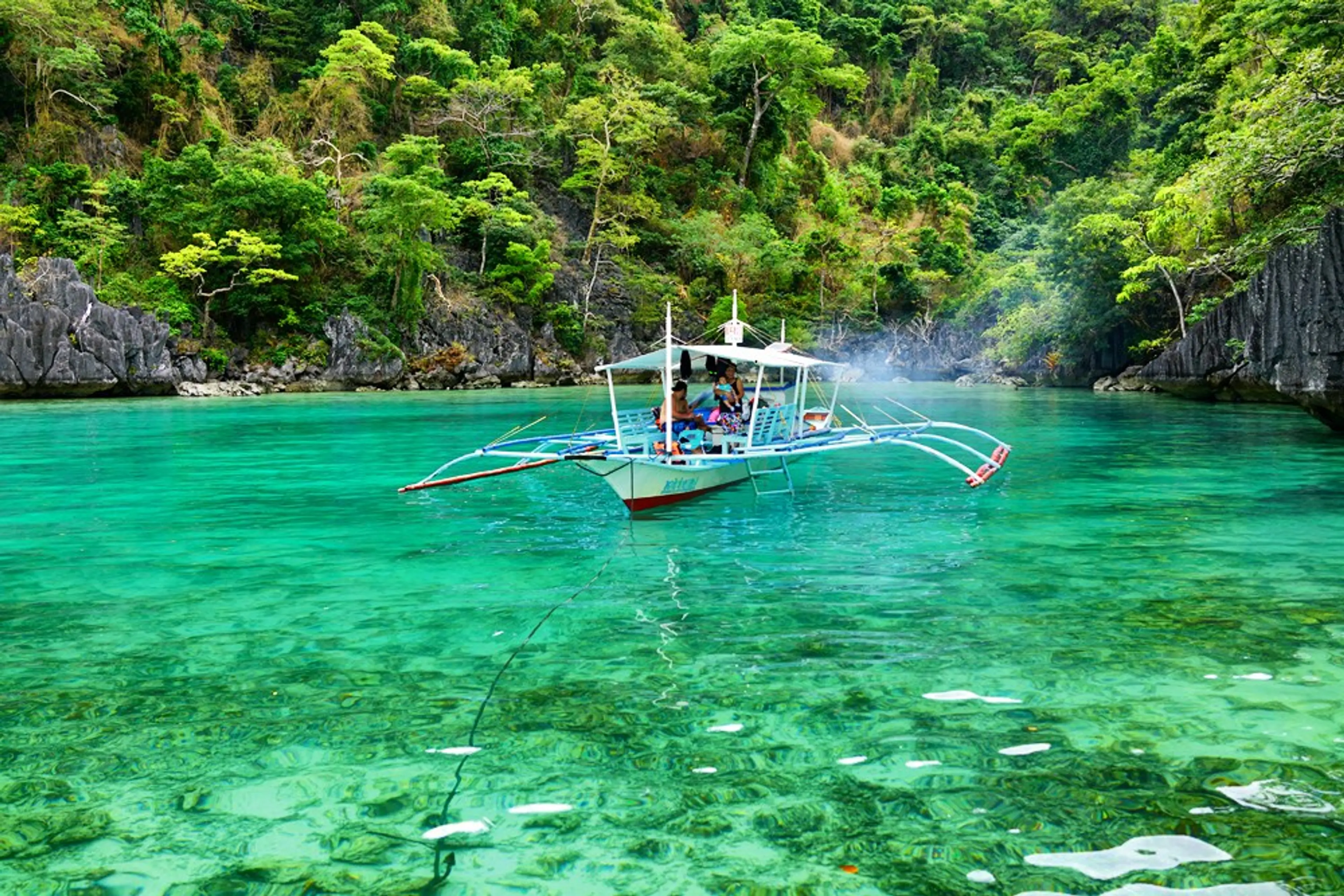 Coron Island Natural Biotic Area