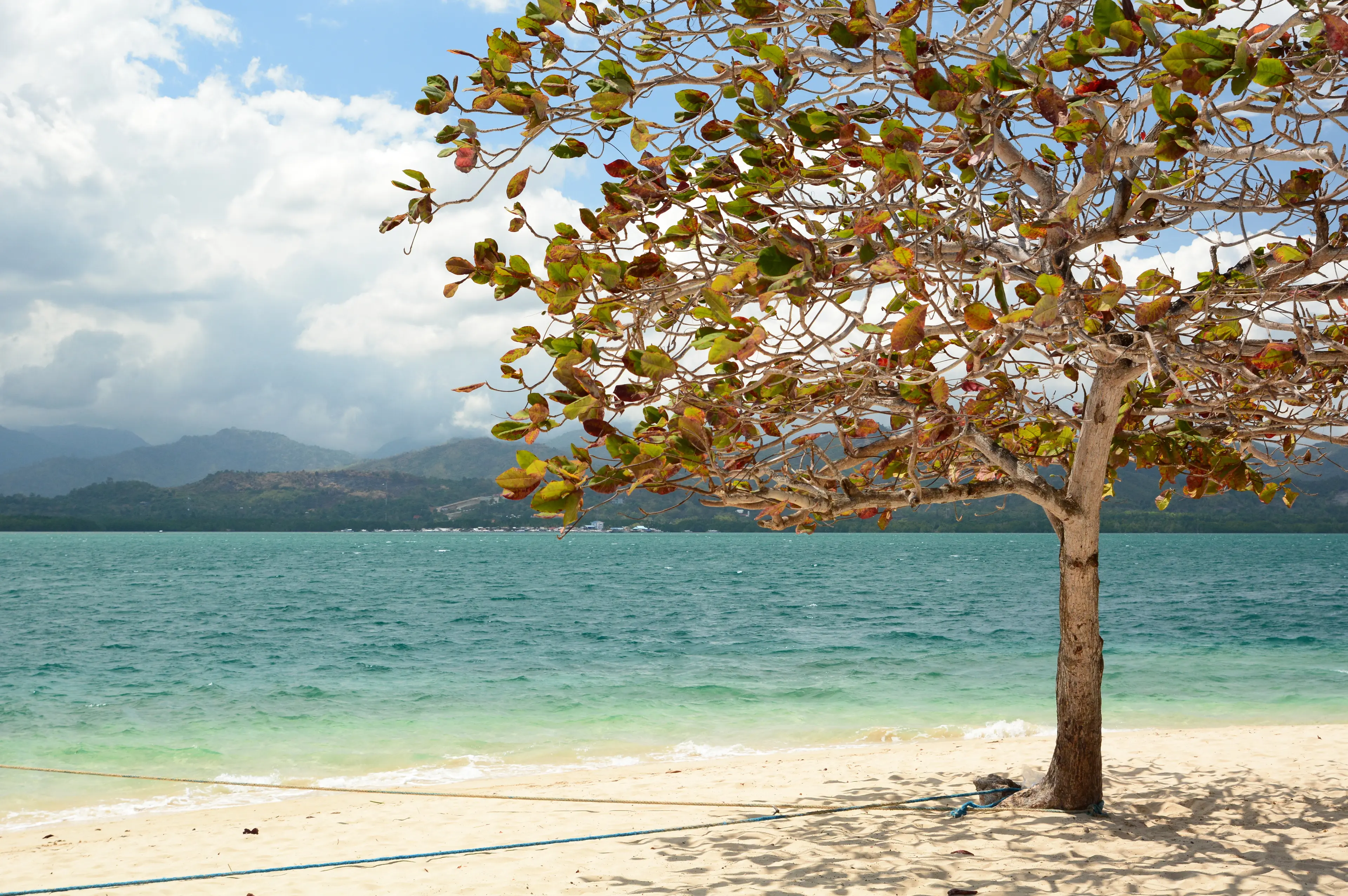 Cowrie Island