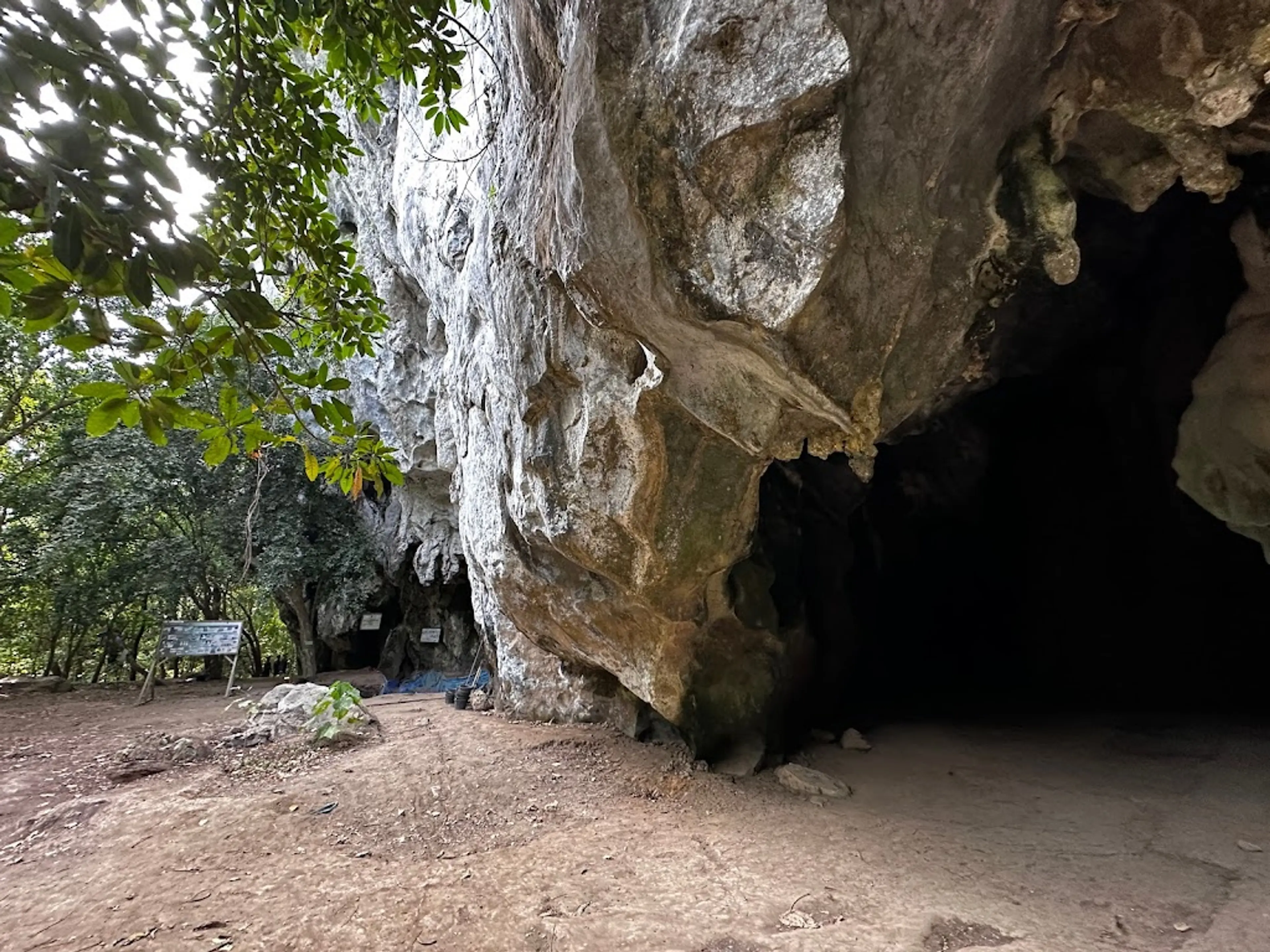 Limestone Caves