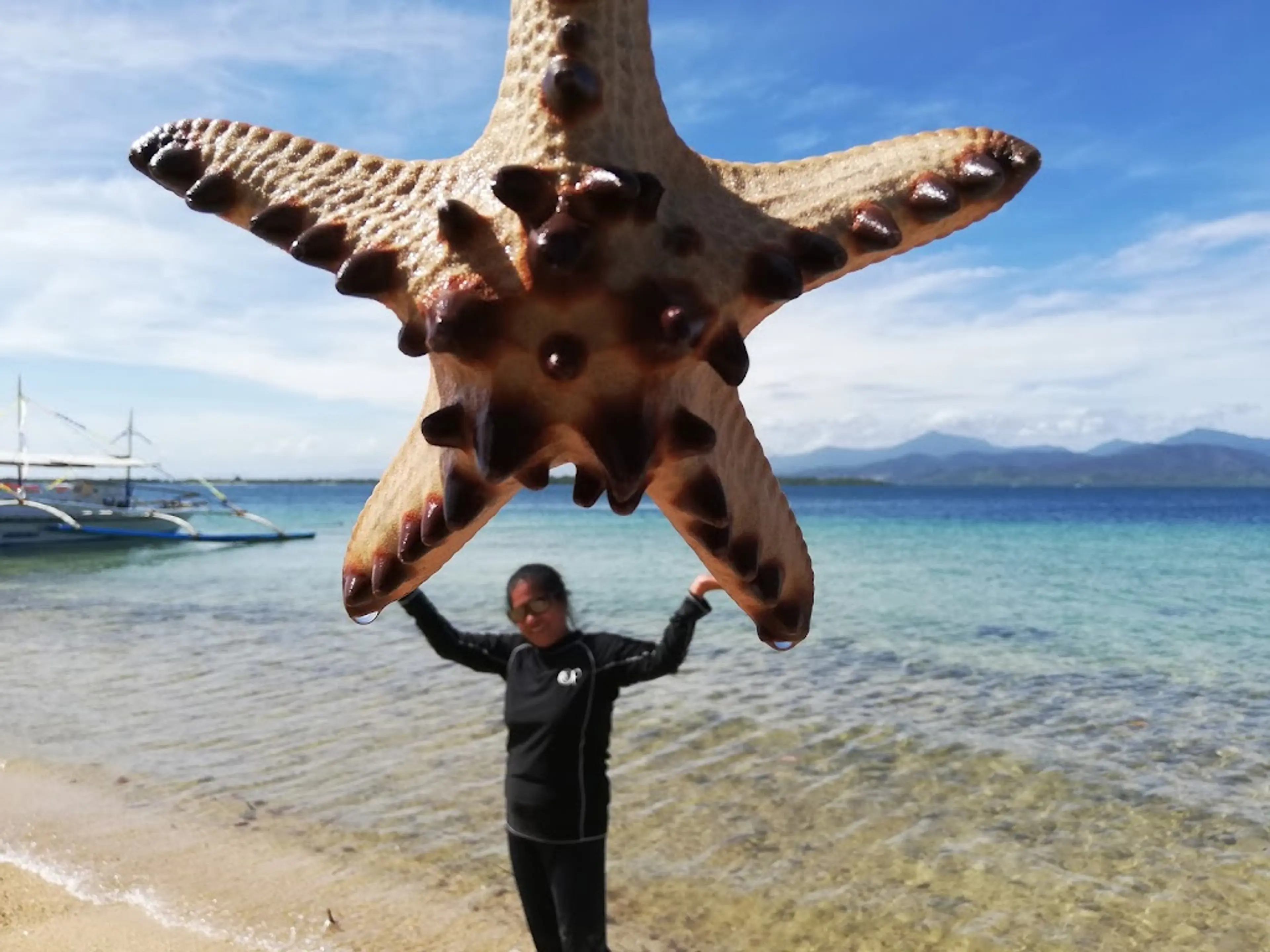 Starfish Island