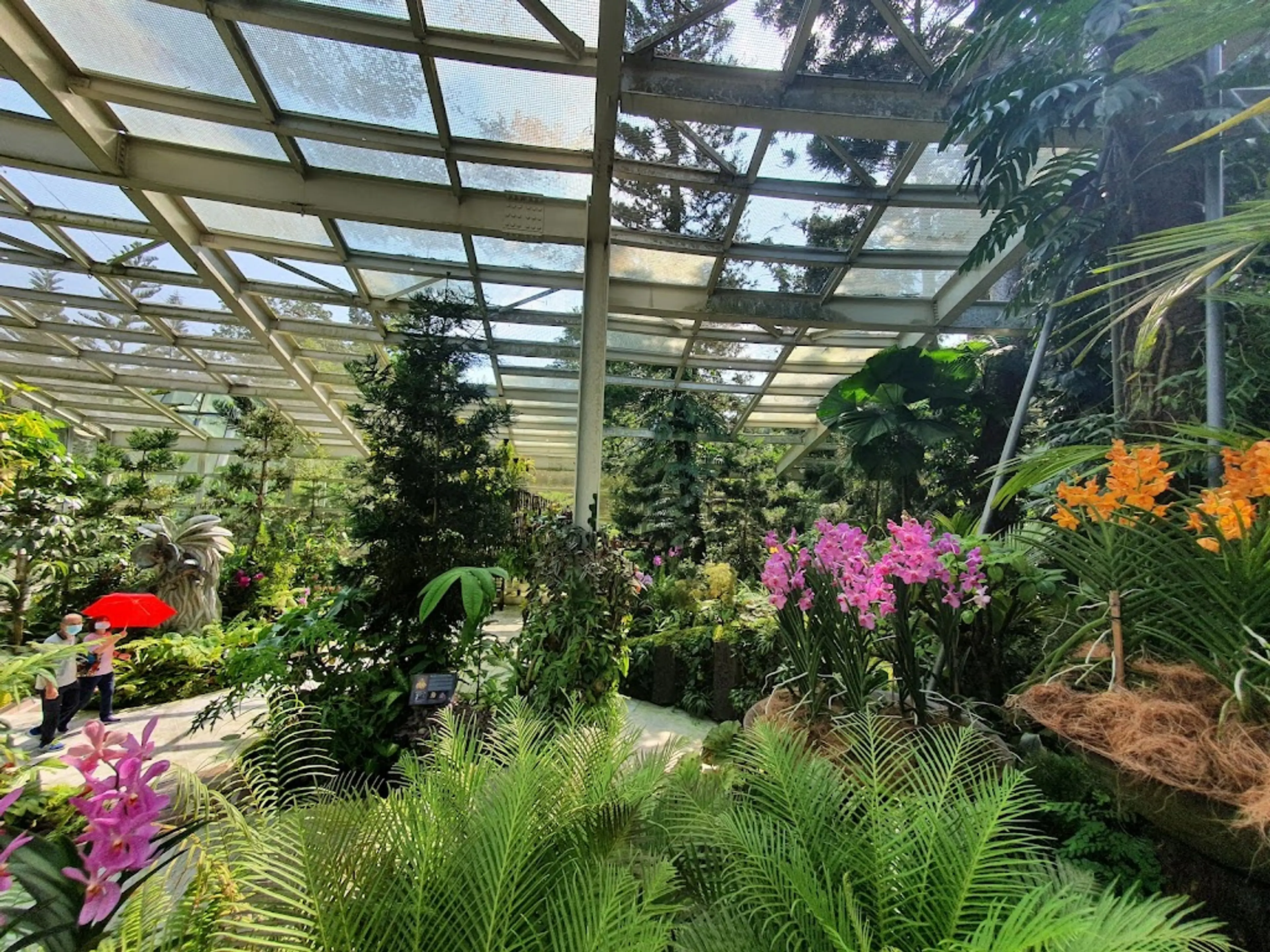 National Orchid Garden