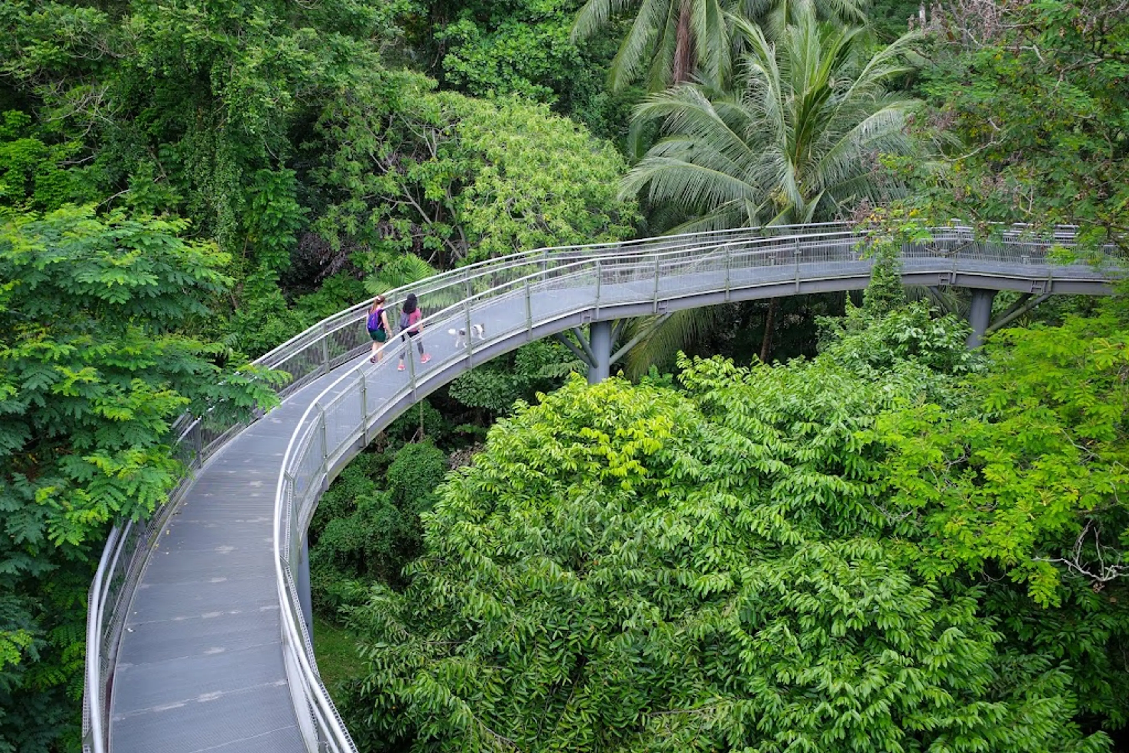 Southern Ridges