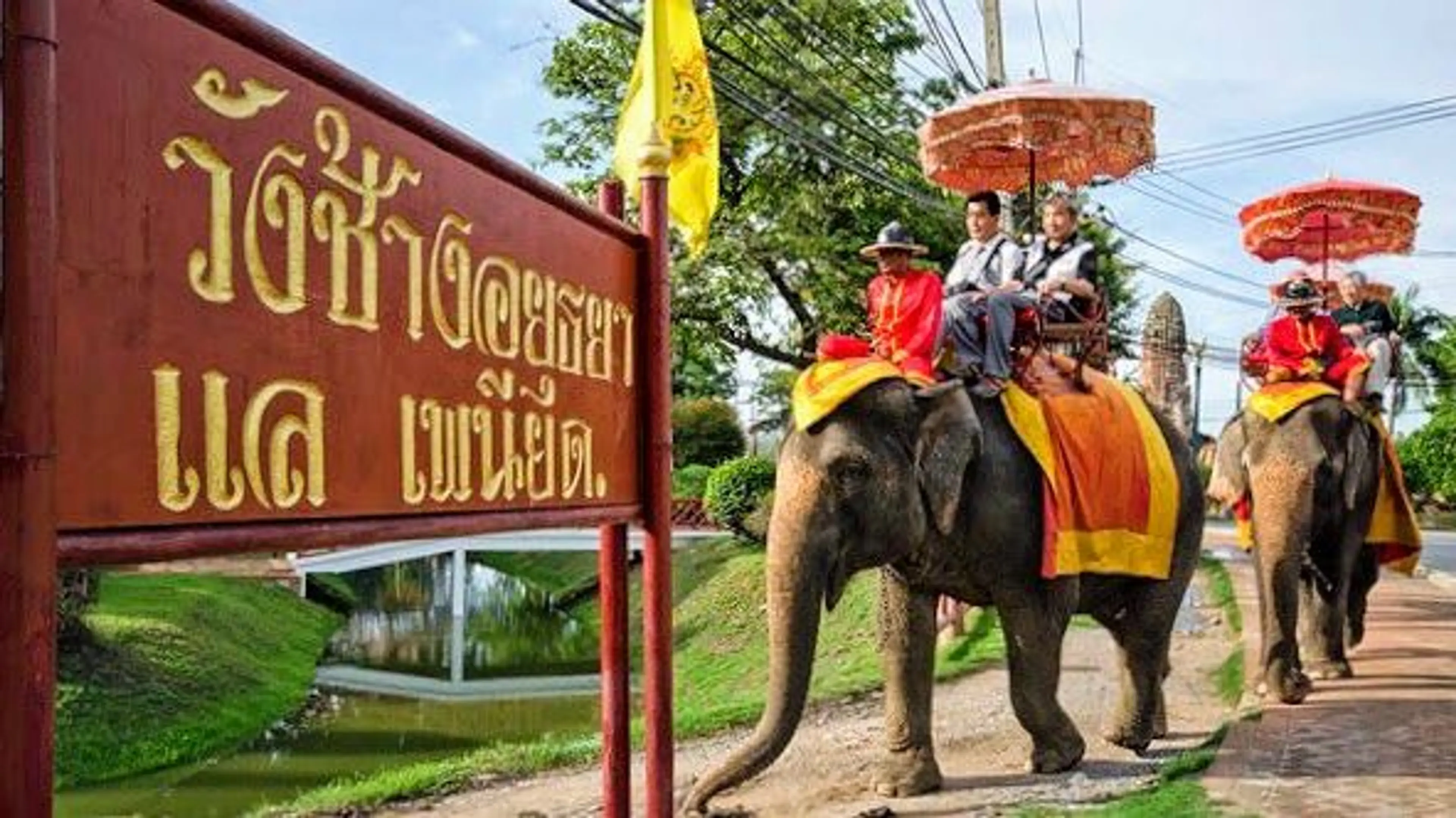 Ayutthaya Elephant Palace and Royal Kraal