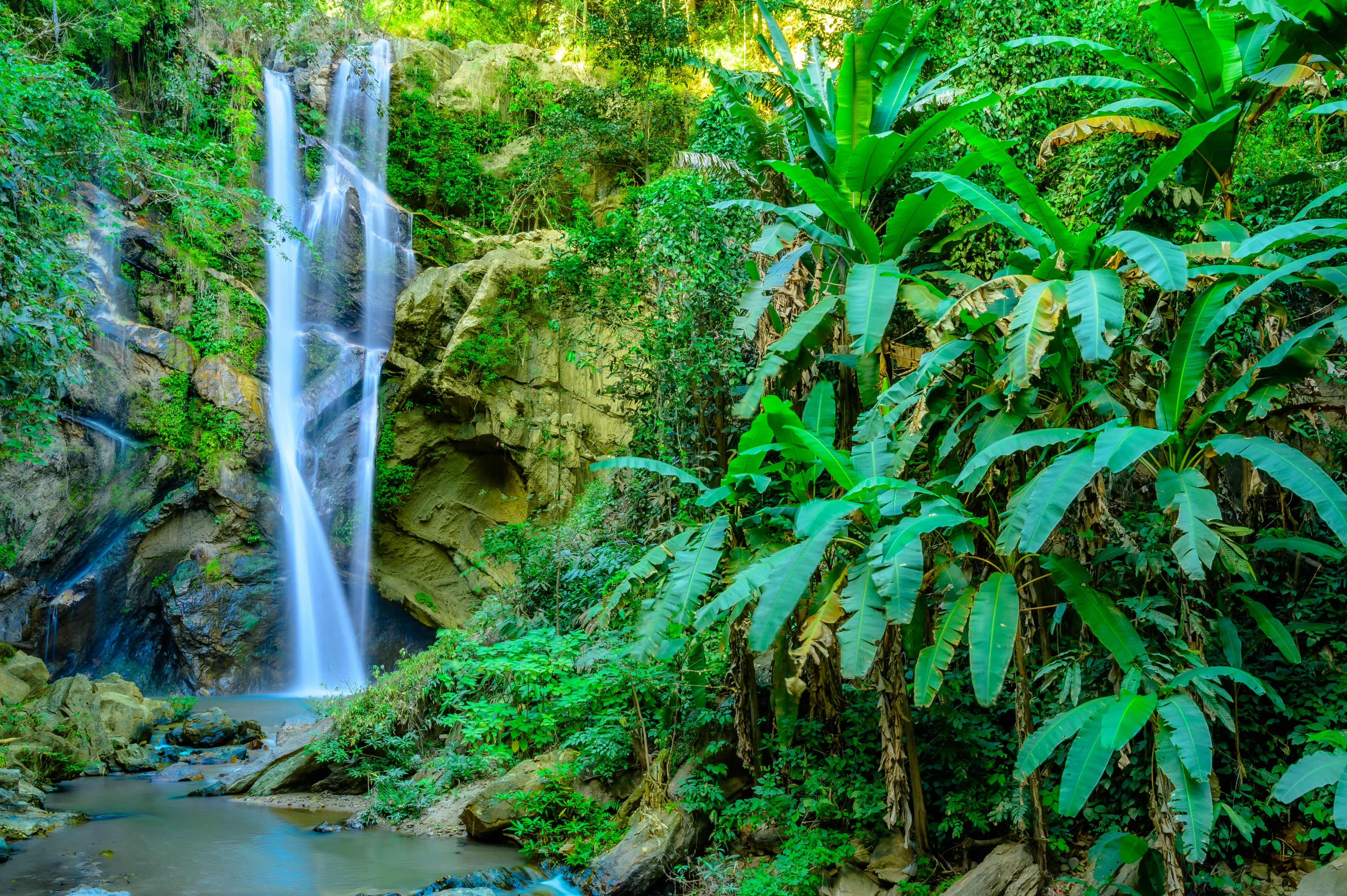 Doi Suthep-Pui National Park
