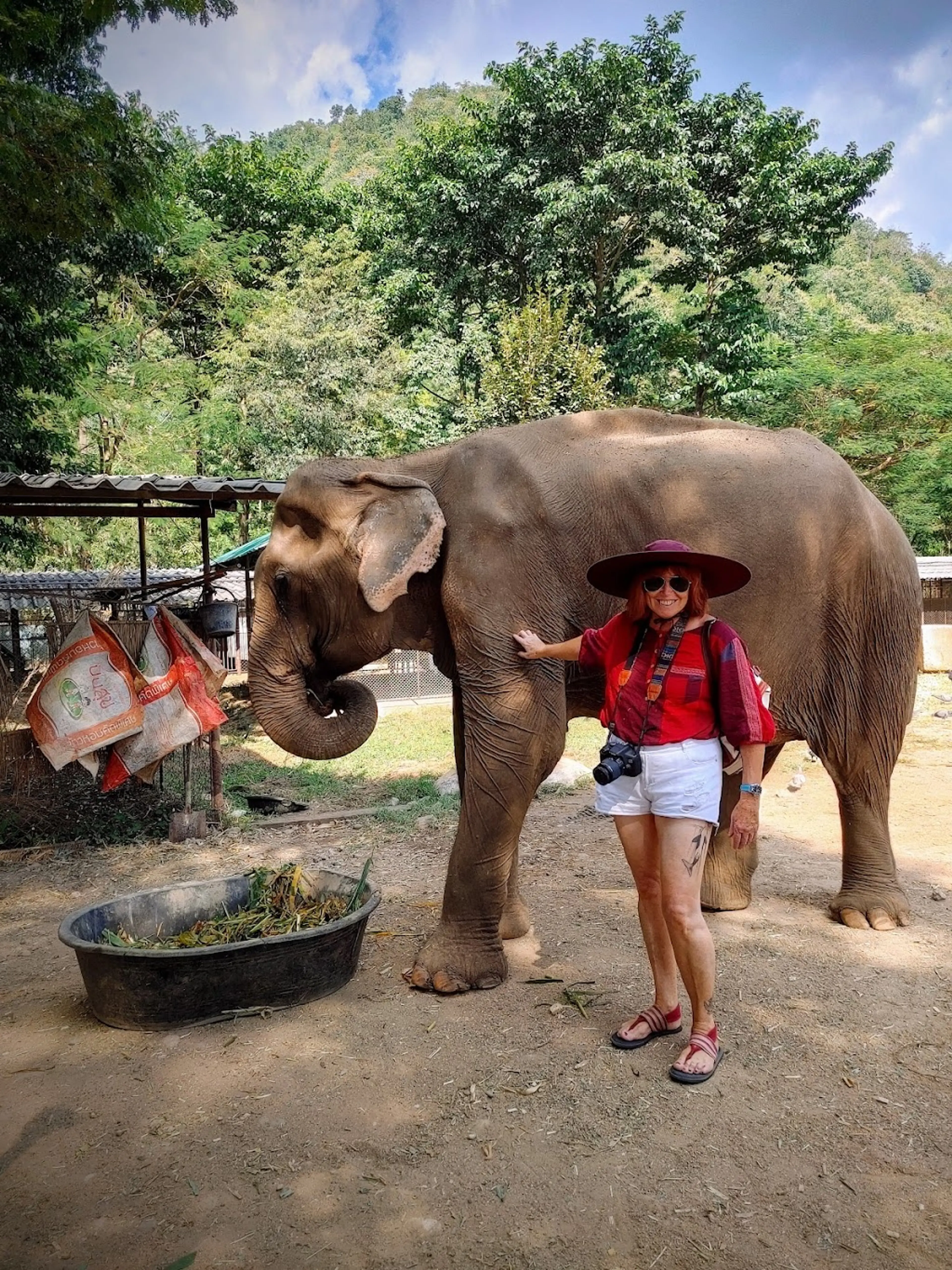 Elephant Nature Park