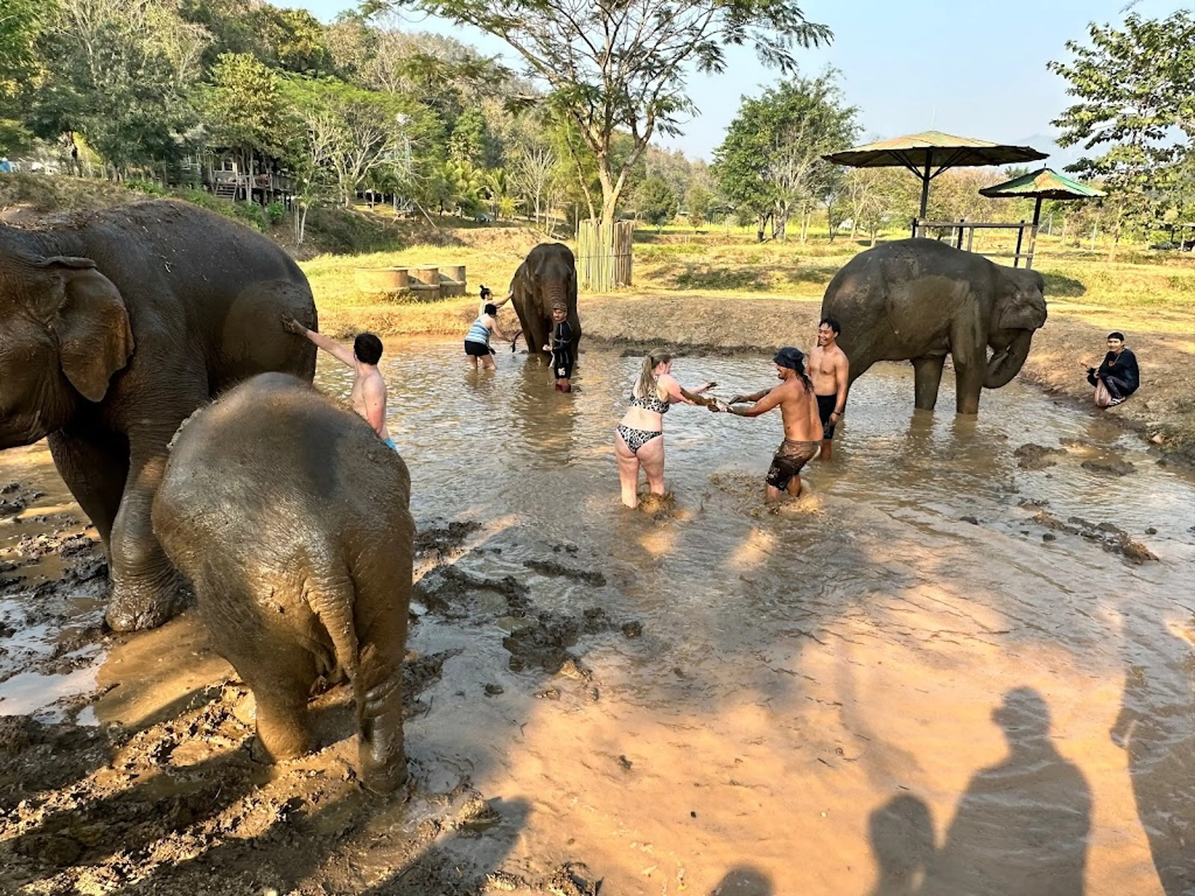 Elephant Sanctuary