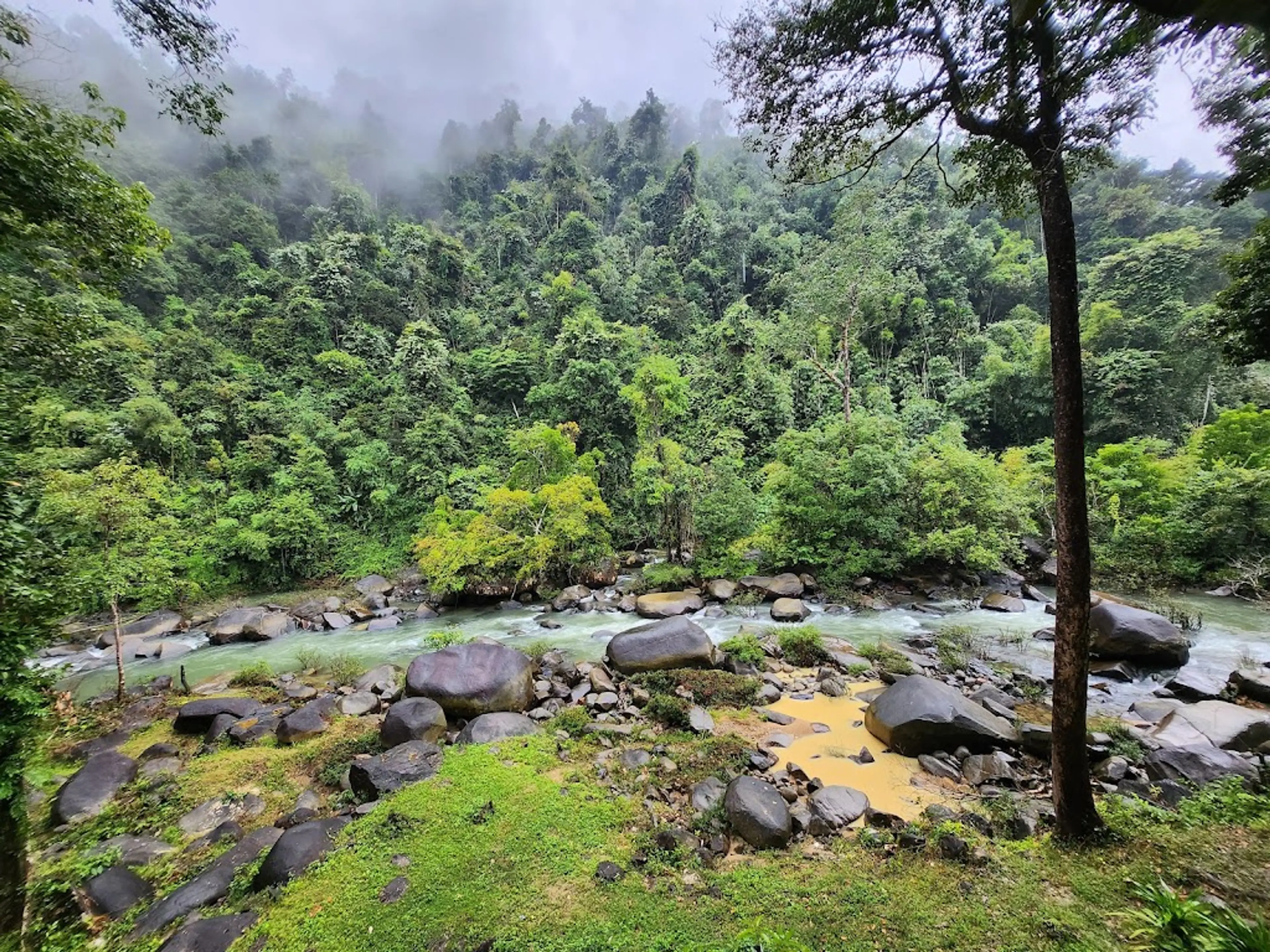 Guided Jungle Trek