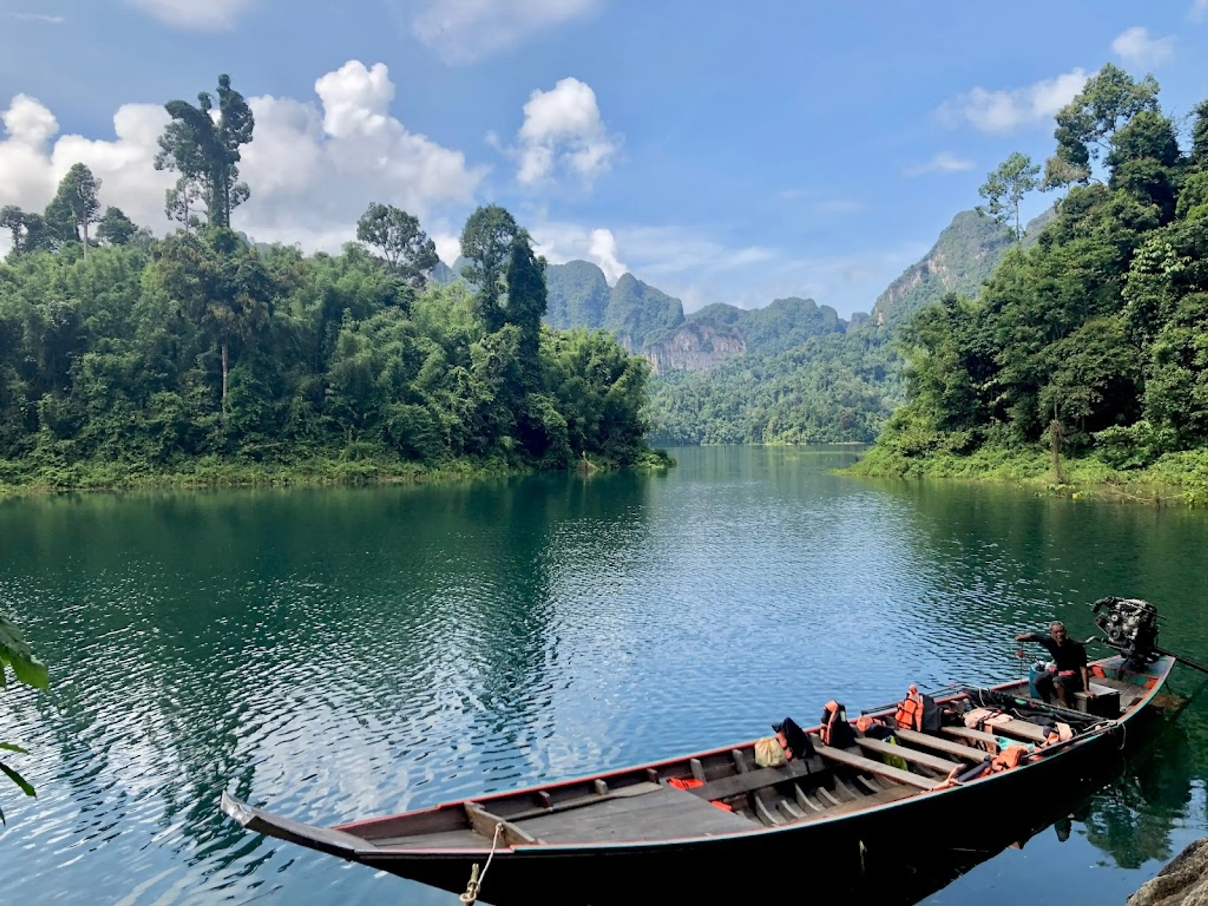 Guided Rainforest Tour