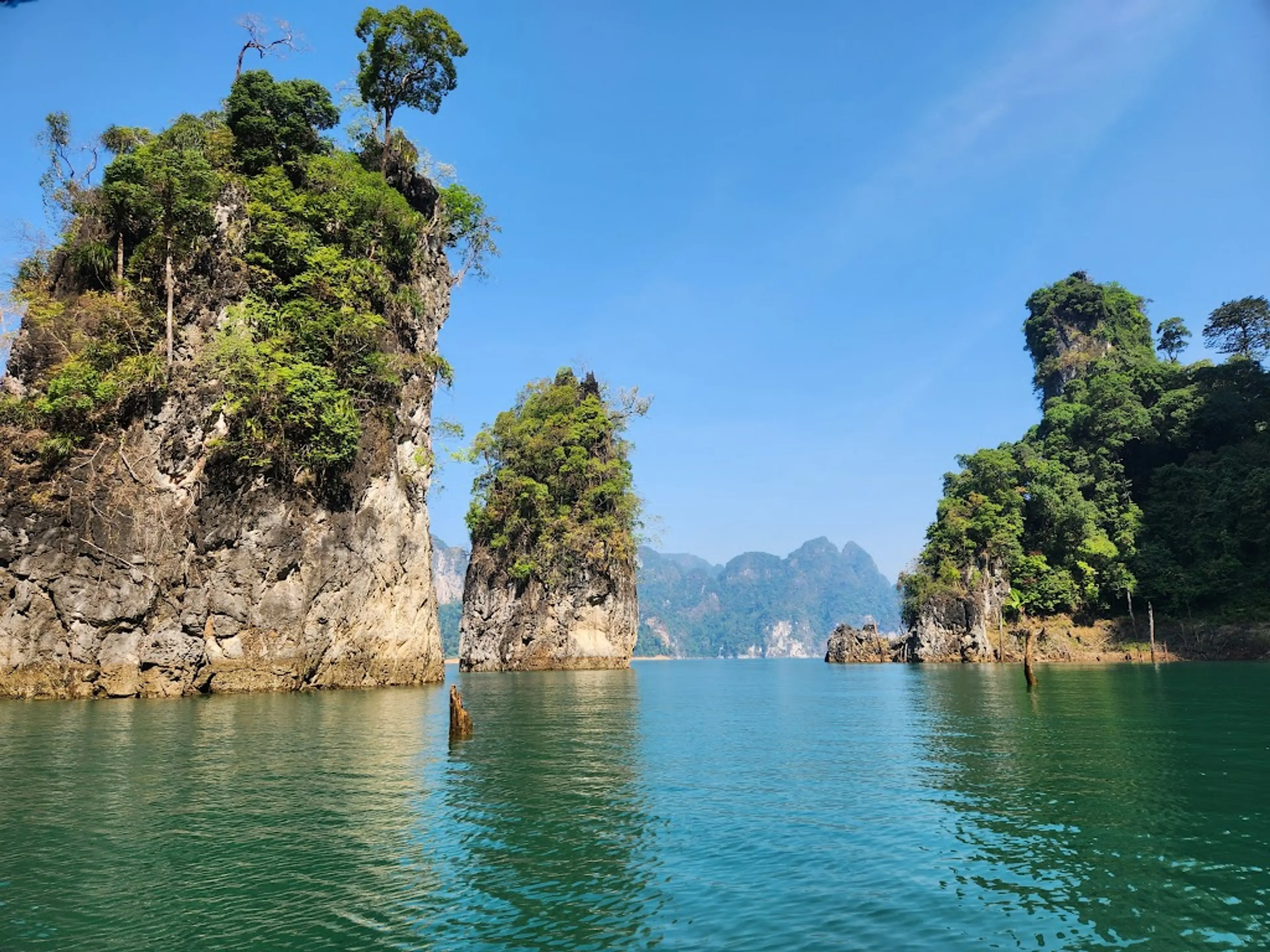 Khao Sok Rainforest