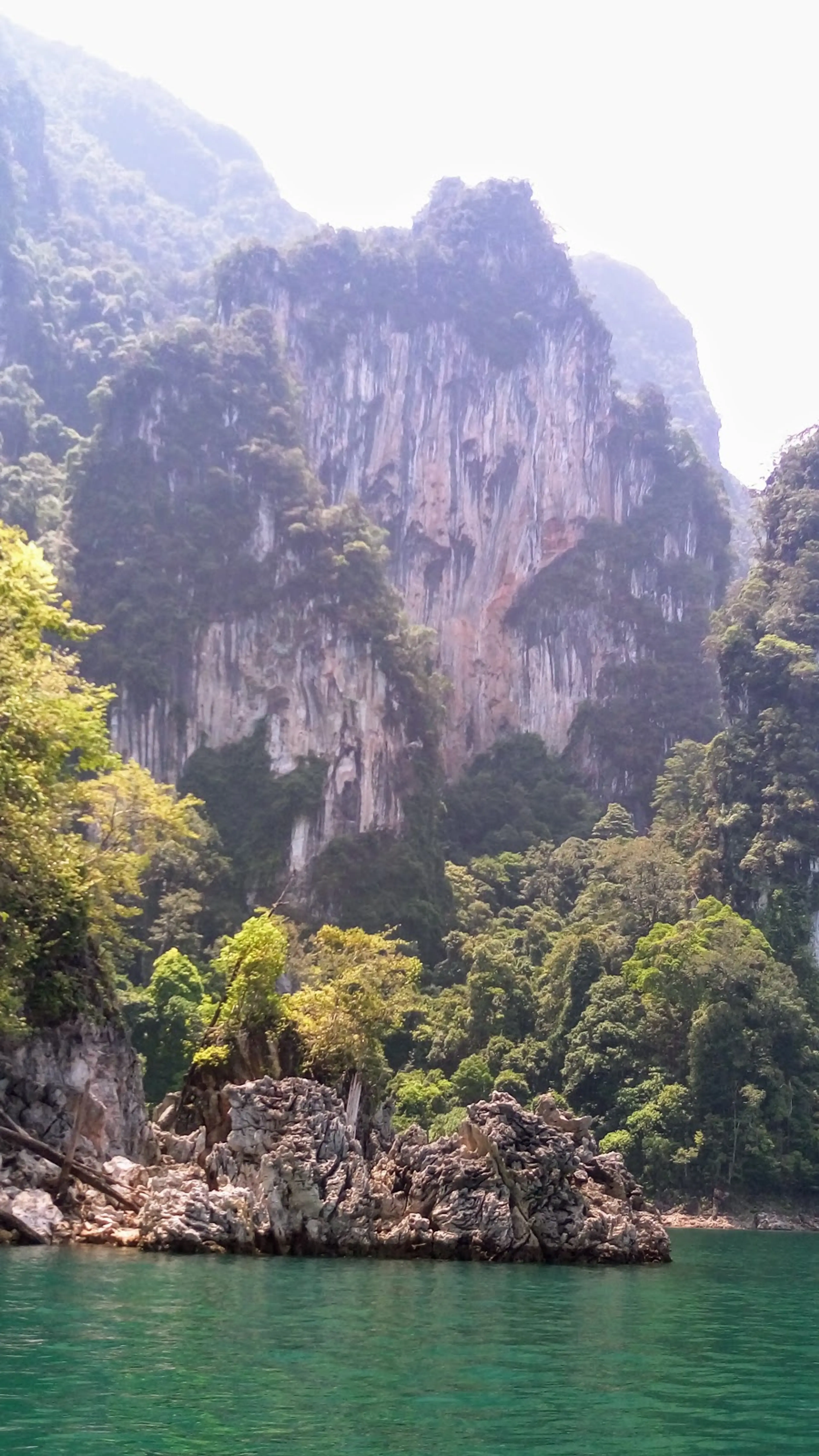 Night safari in Khao Sok National Park
