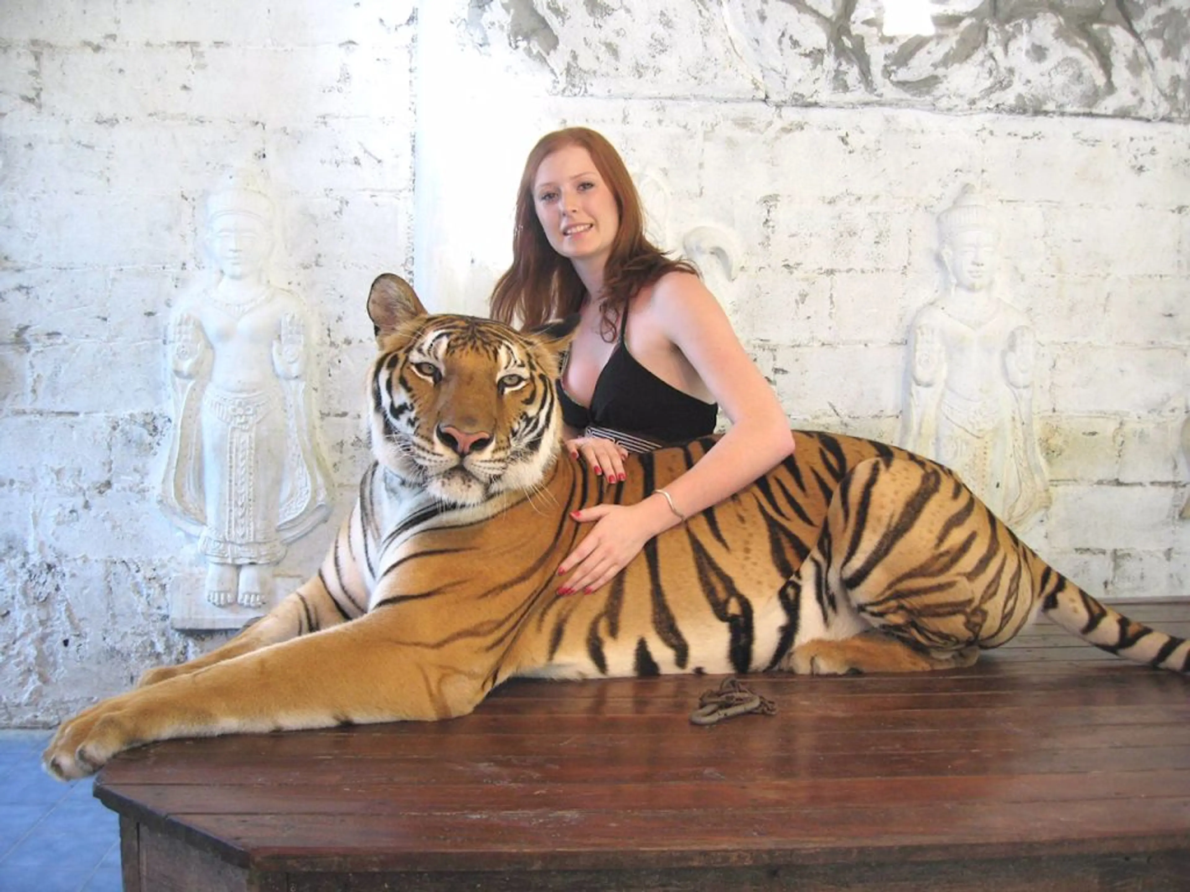 Samui Aquarium and Tiger Zoo