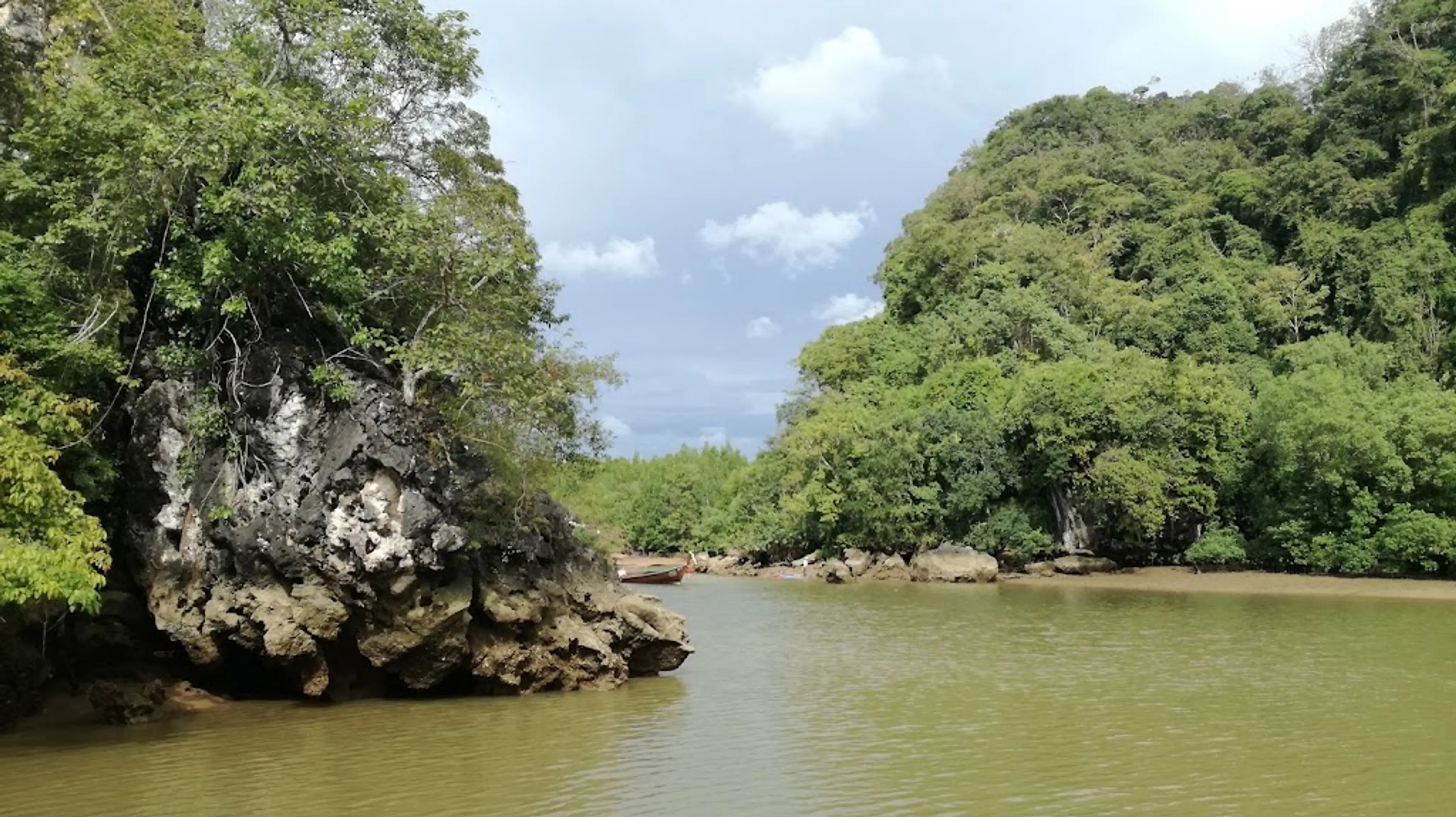 Mangroves and limestone cliffs