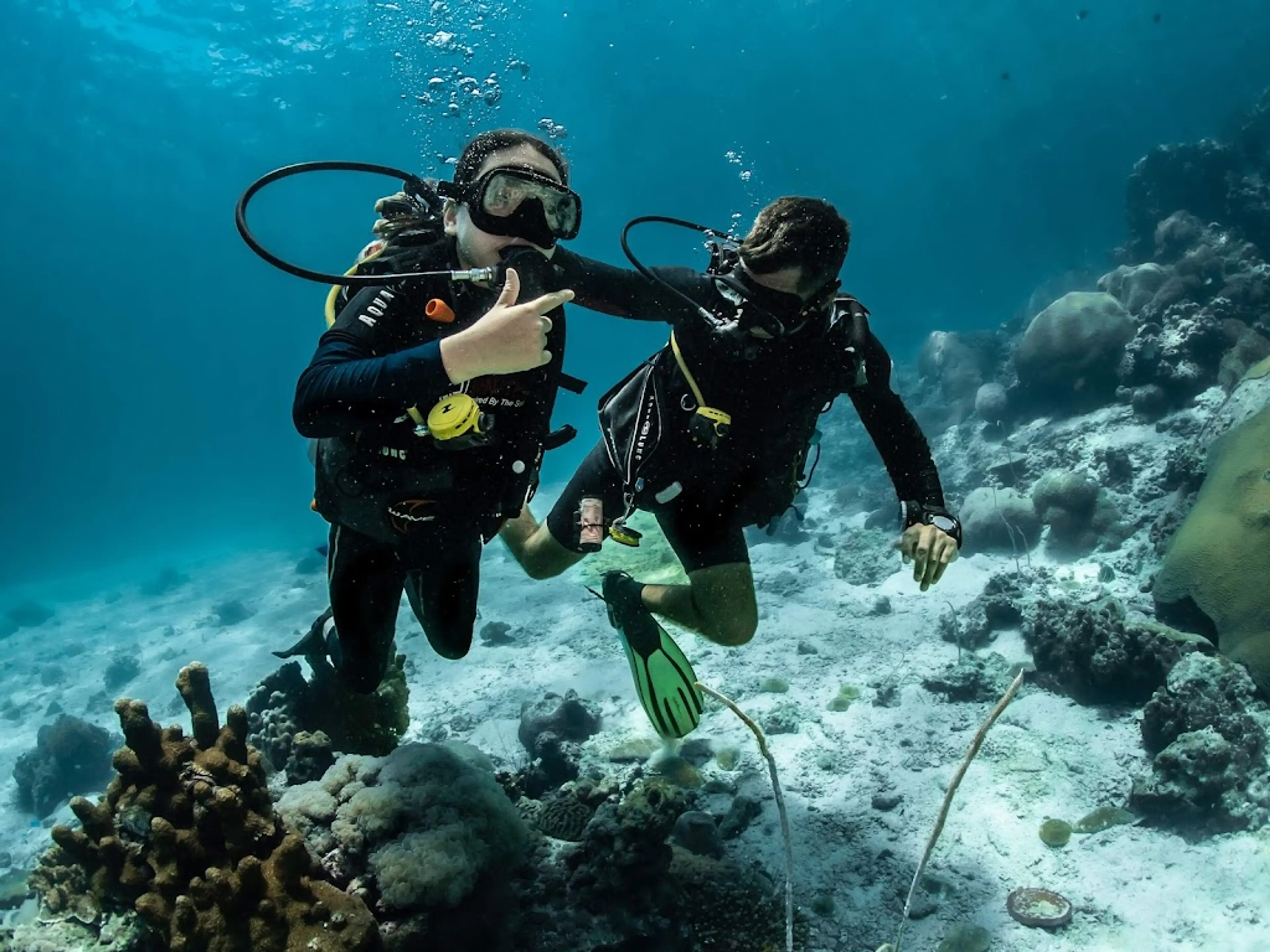 Snorkeling