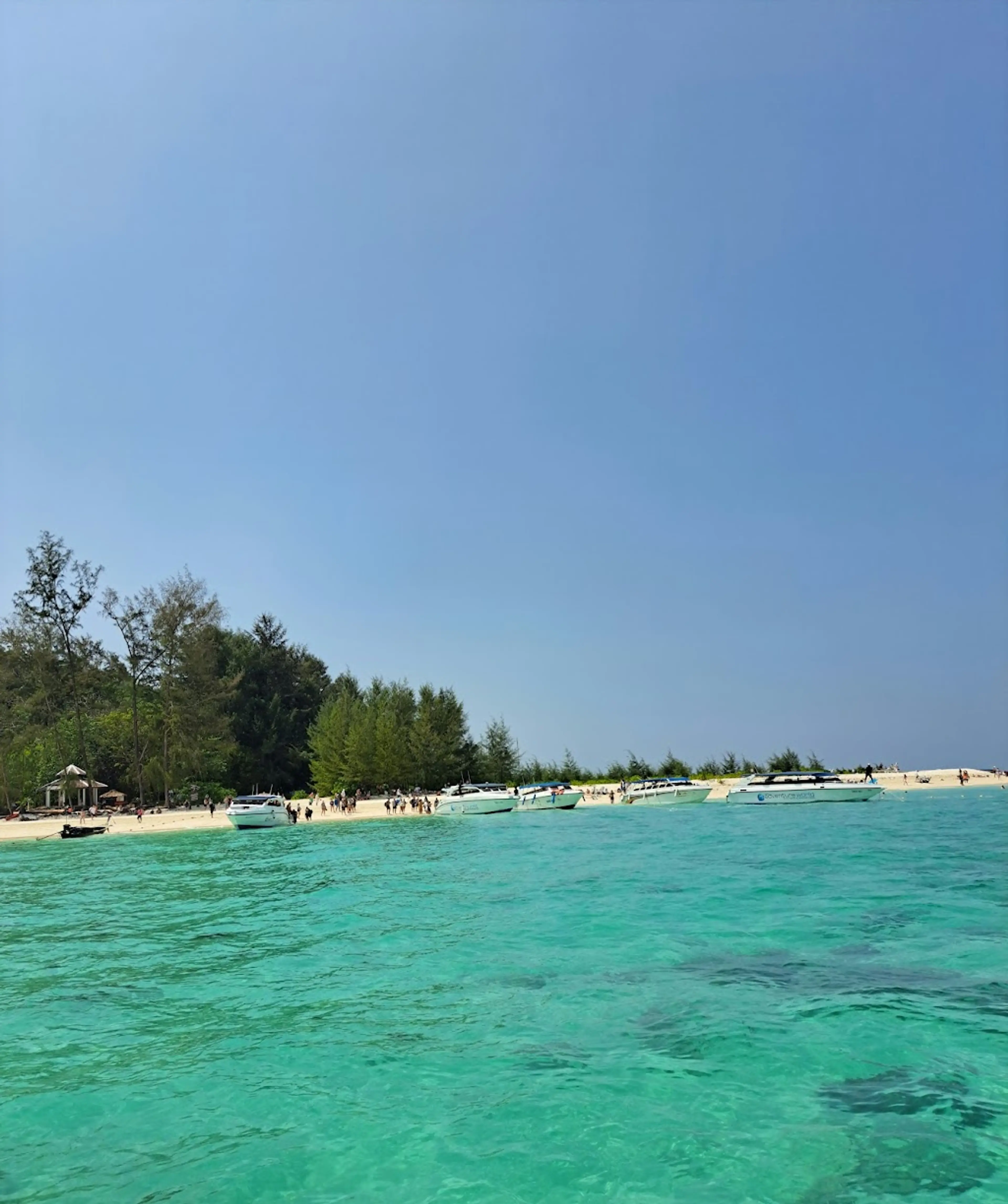 Bamboo Island