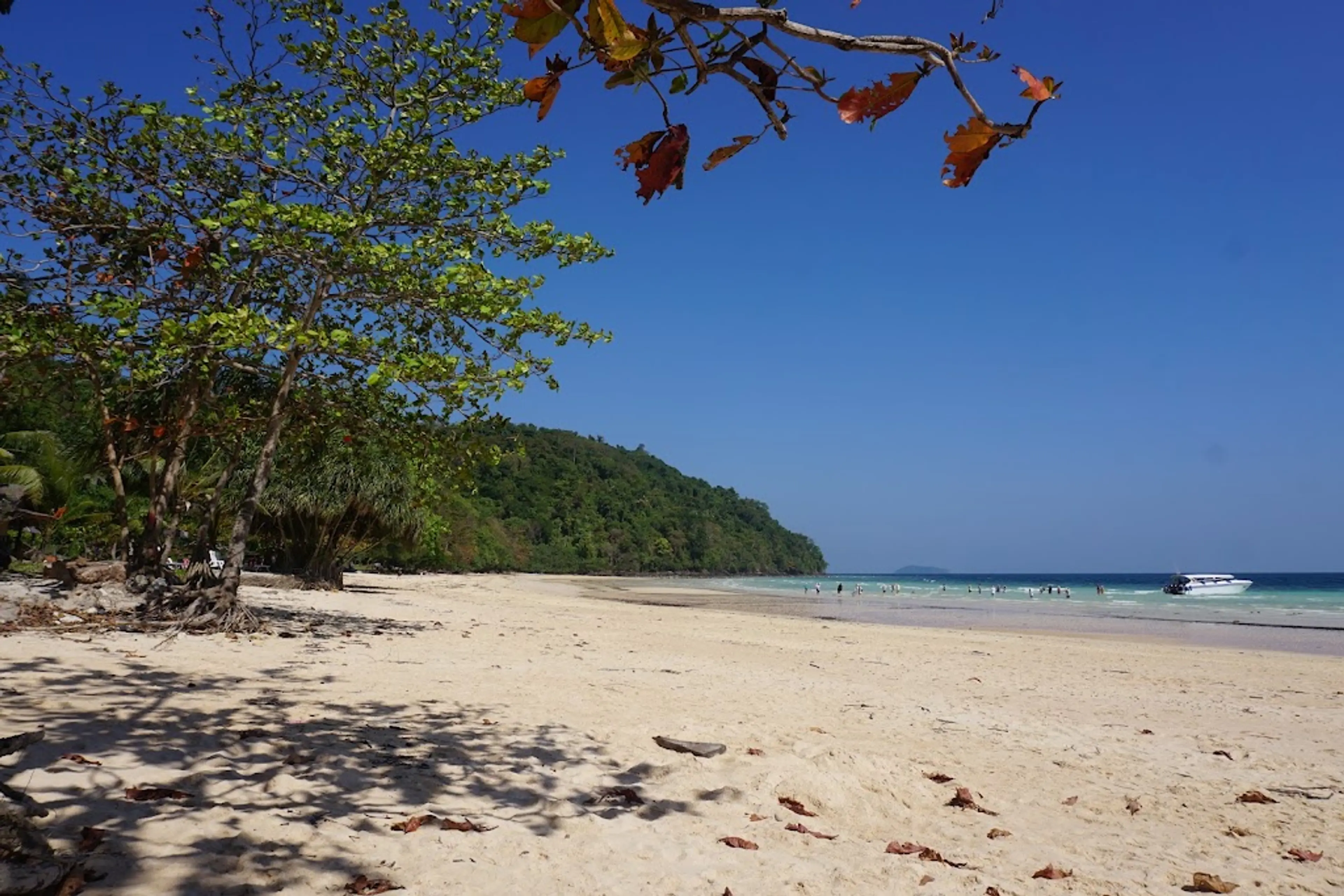 Picnic on a secluded beach