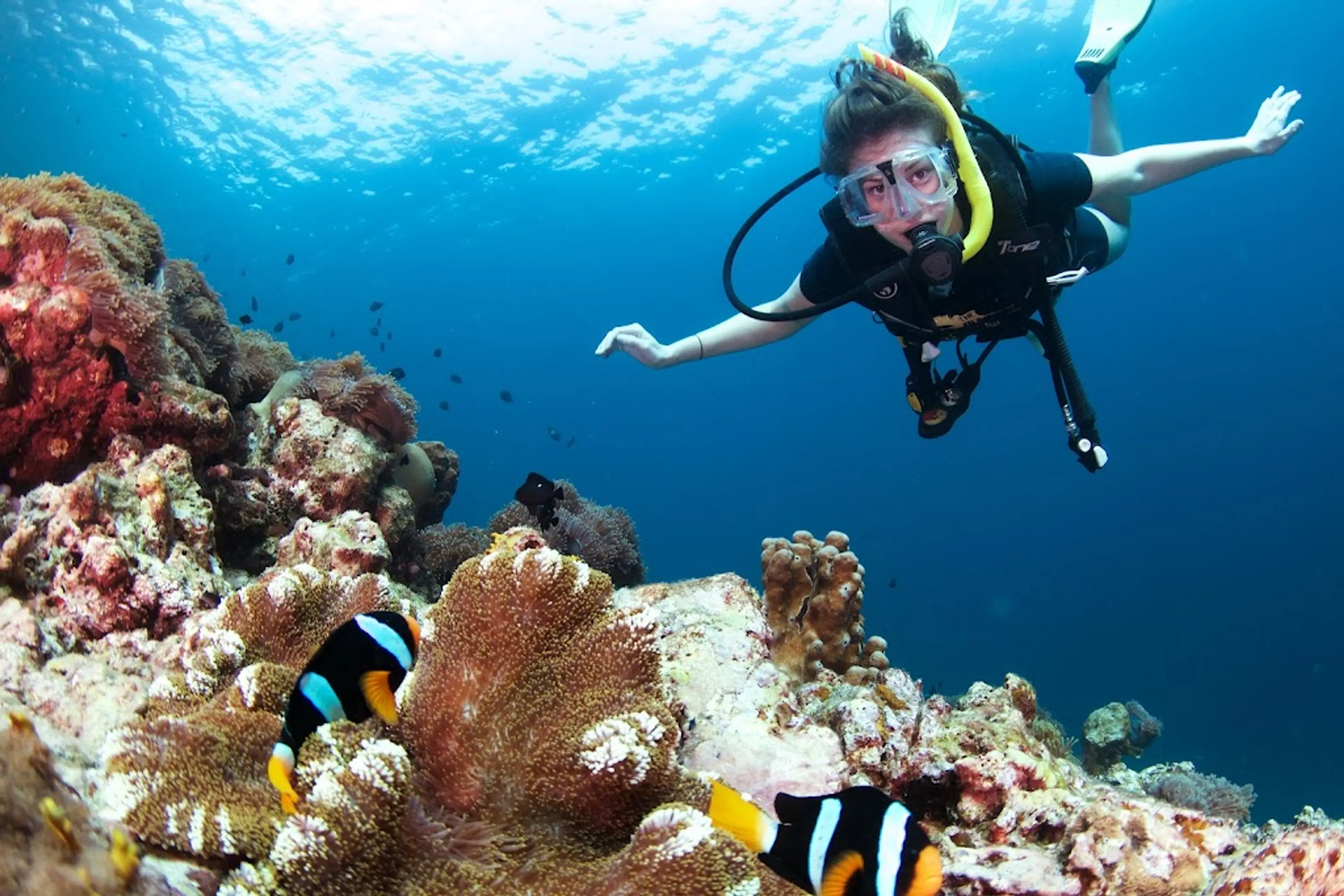 Snorkeling Adventure