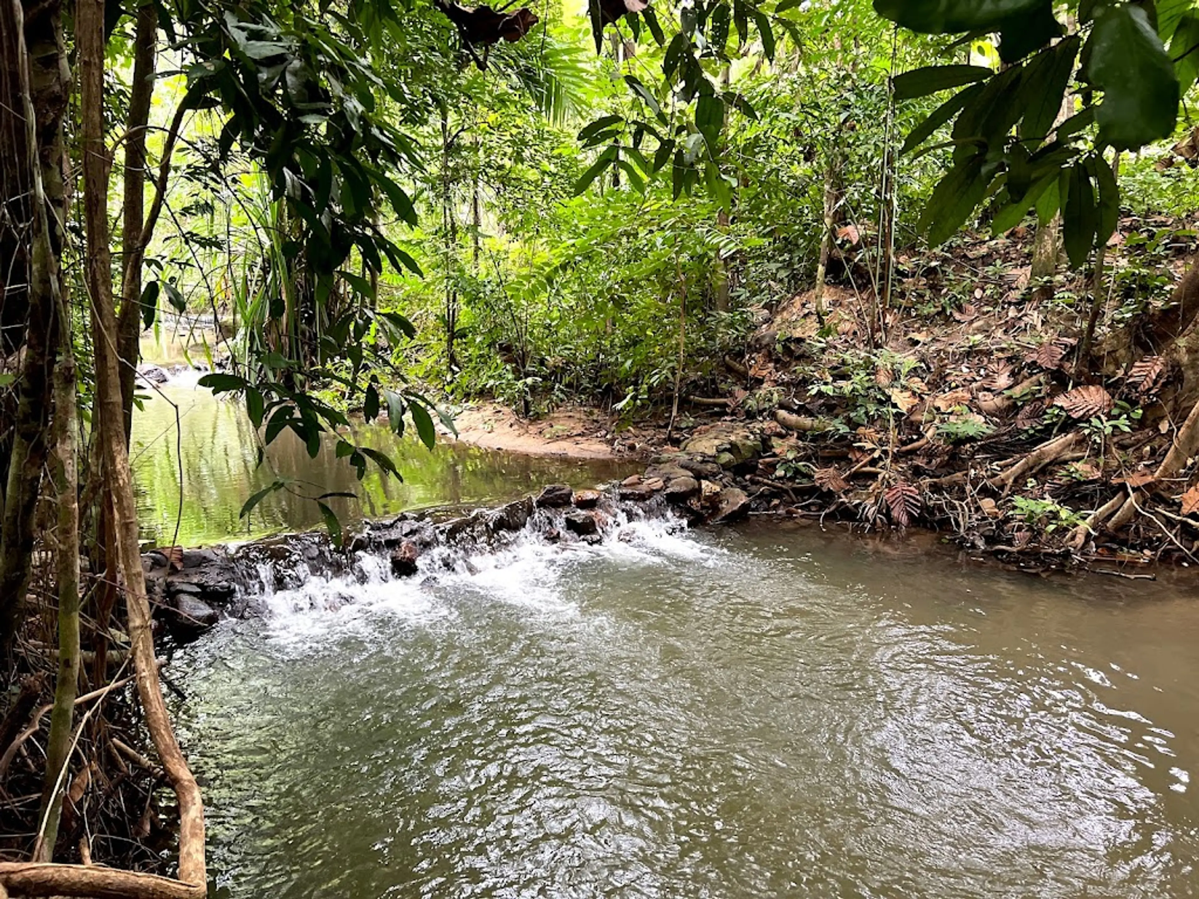 Khao Phra Thaeo National Park