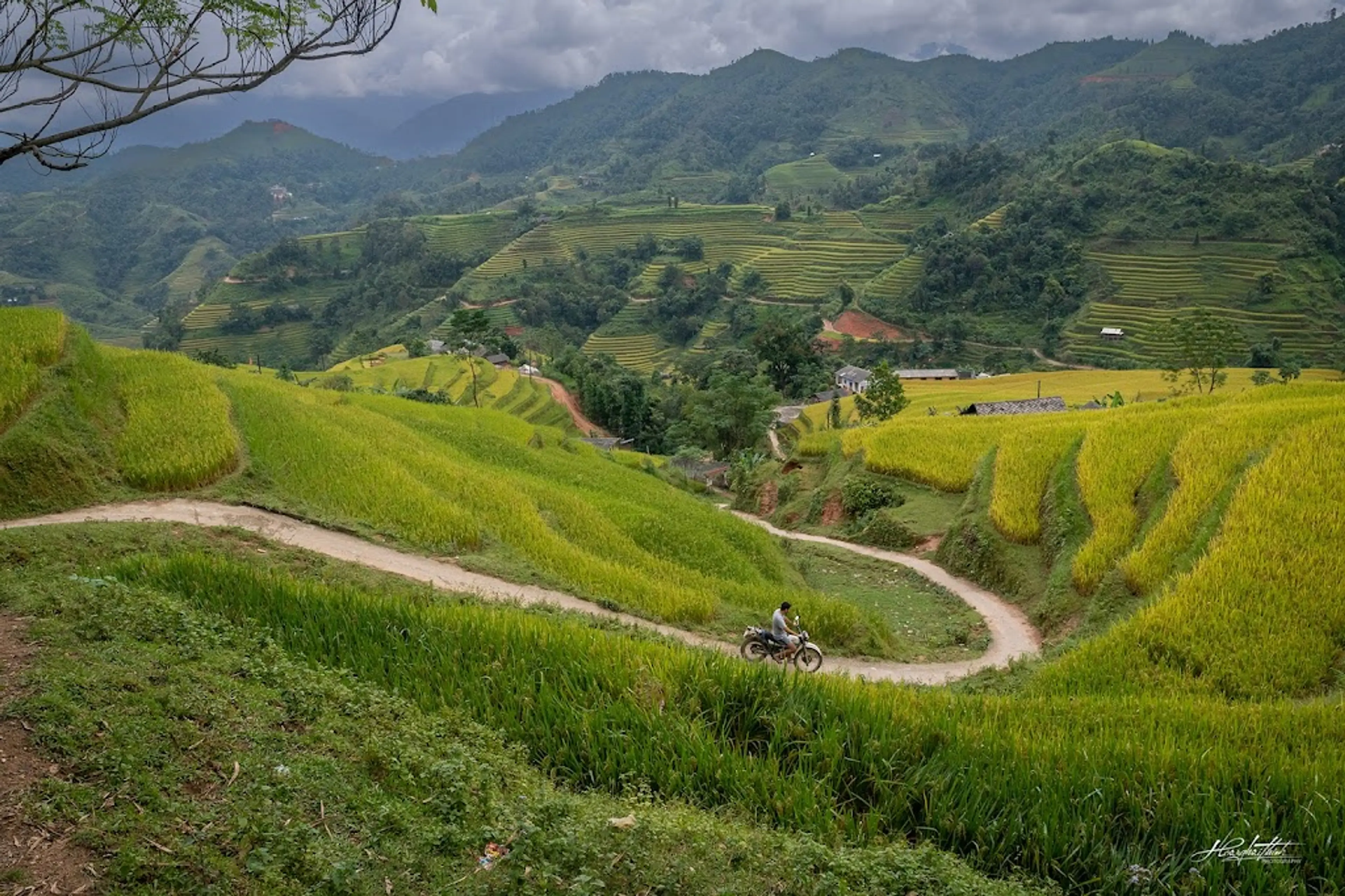 Hoang Su Phi Terraced Fields