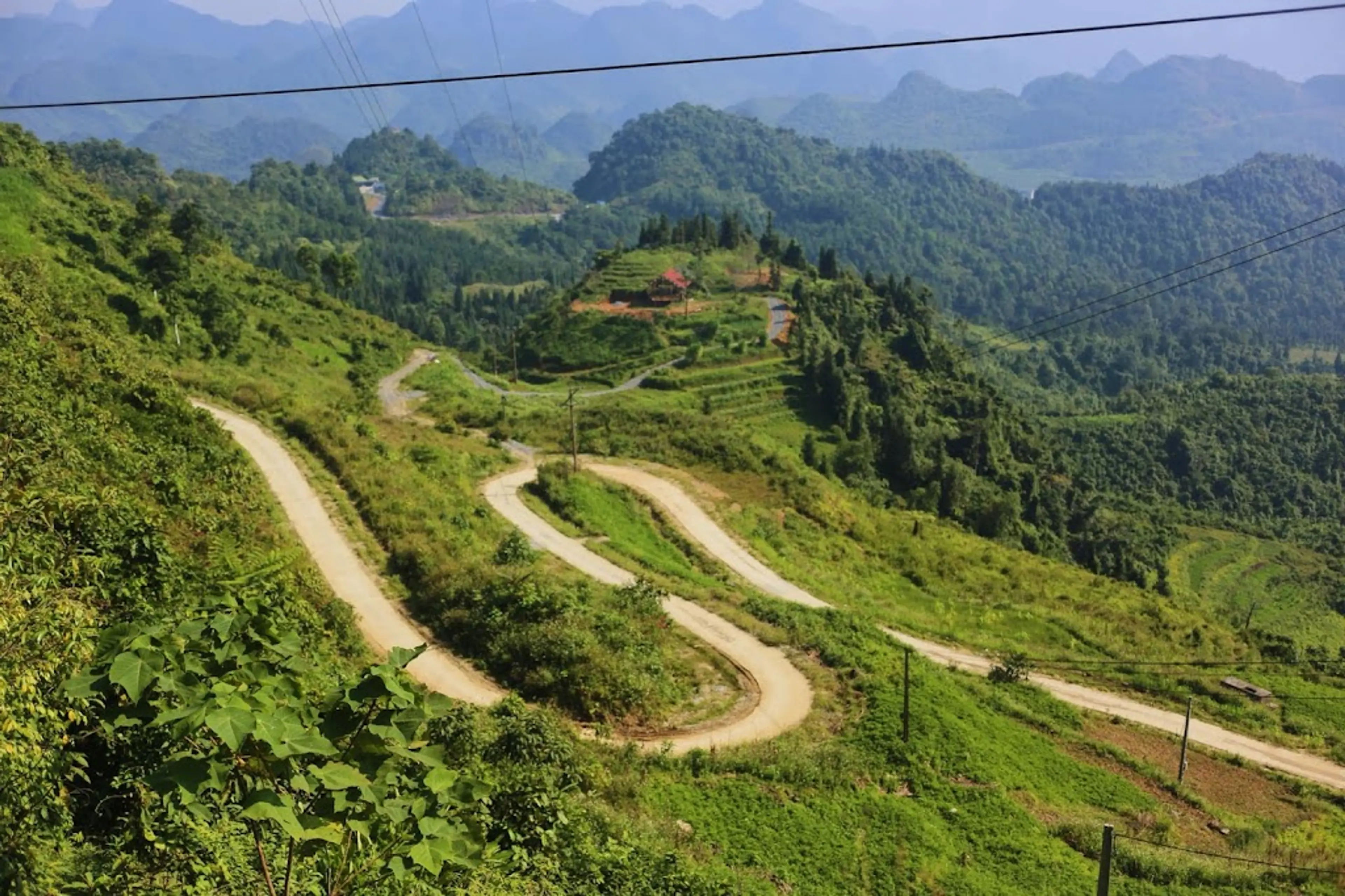Yen Minh Pine Forest