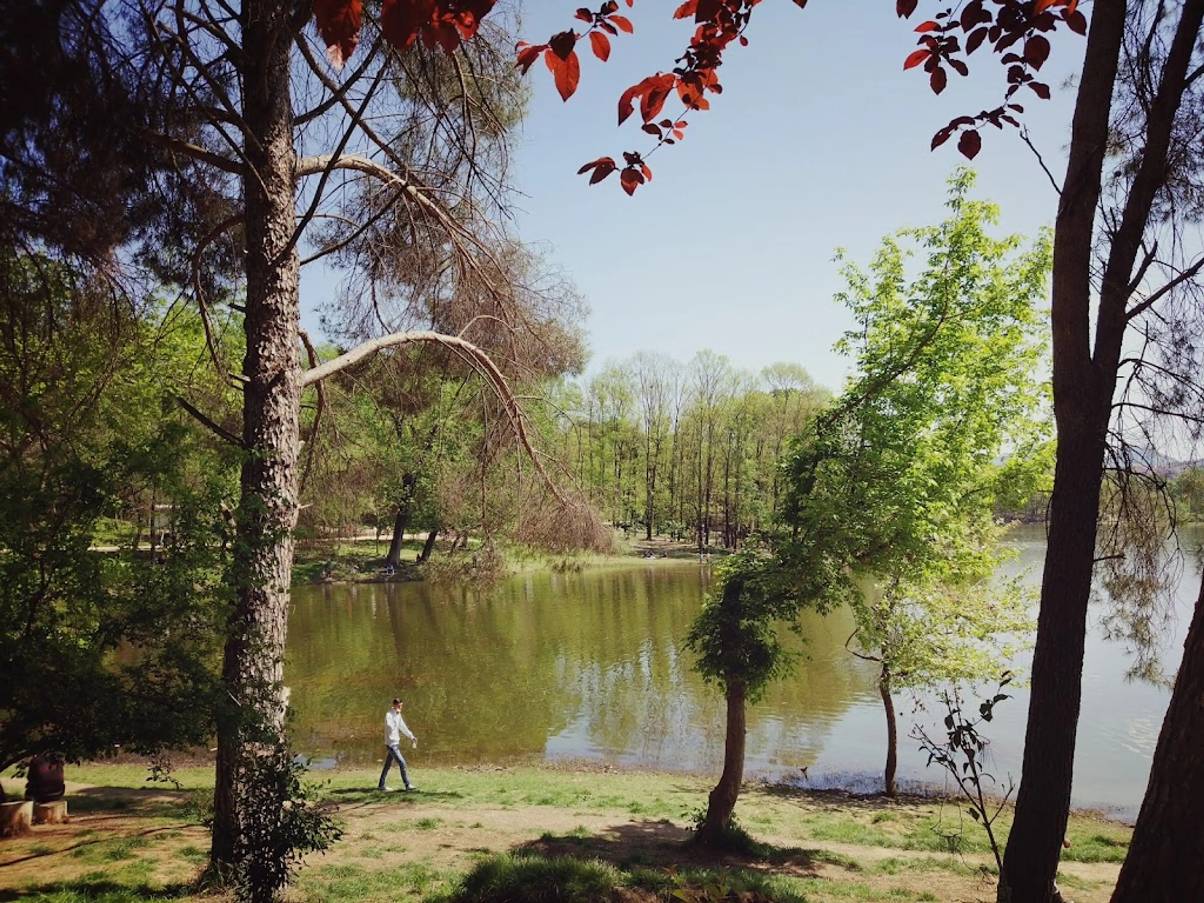 Grand Park of Tirana