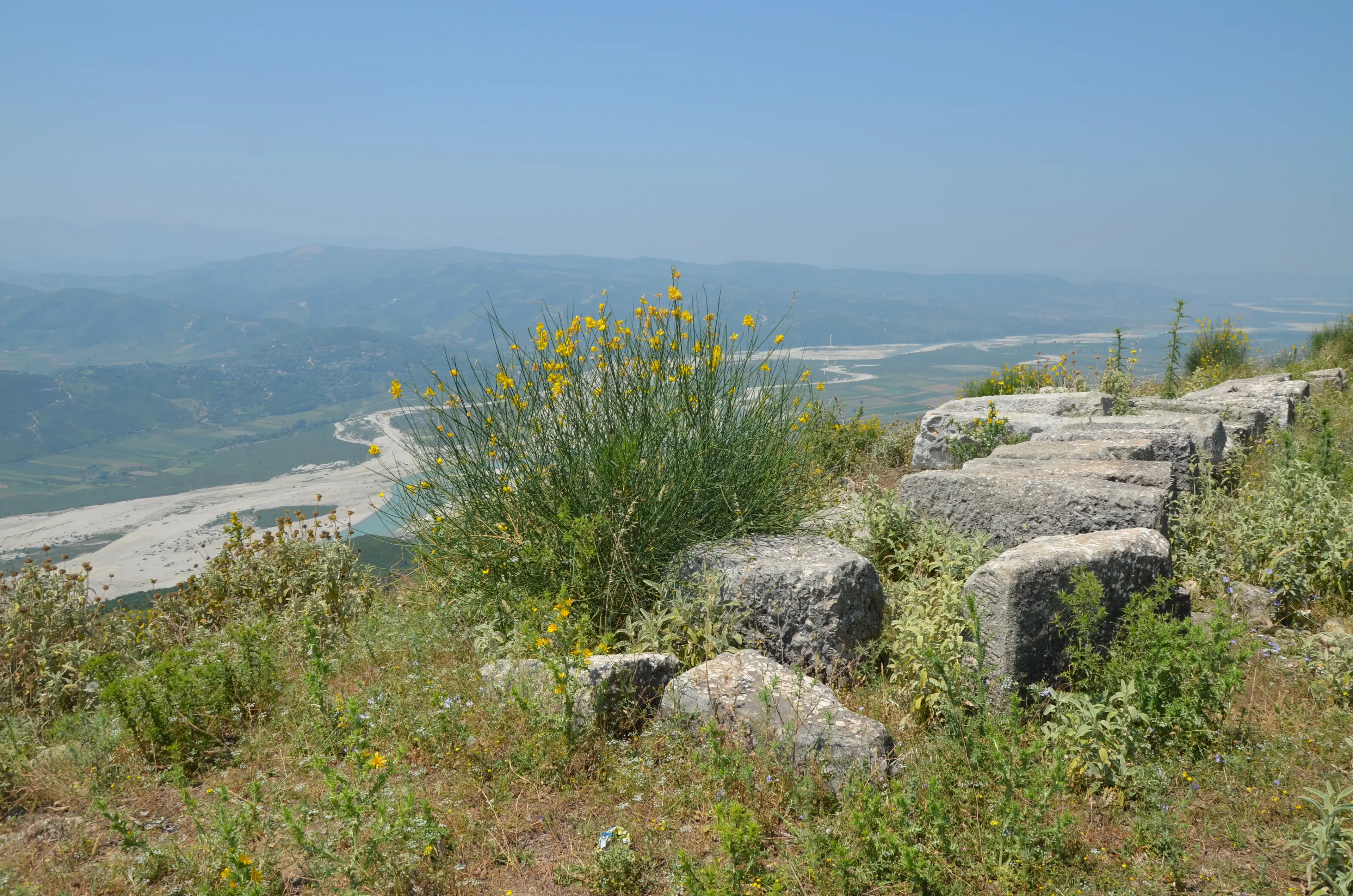 Exploring the park's flora and fauna