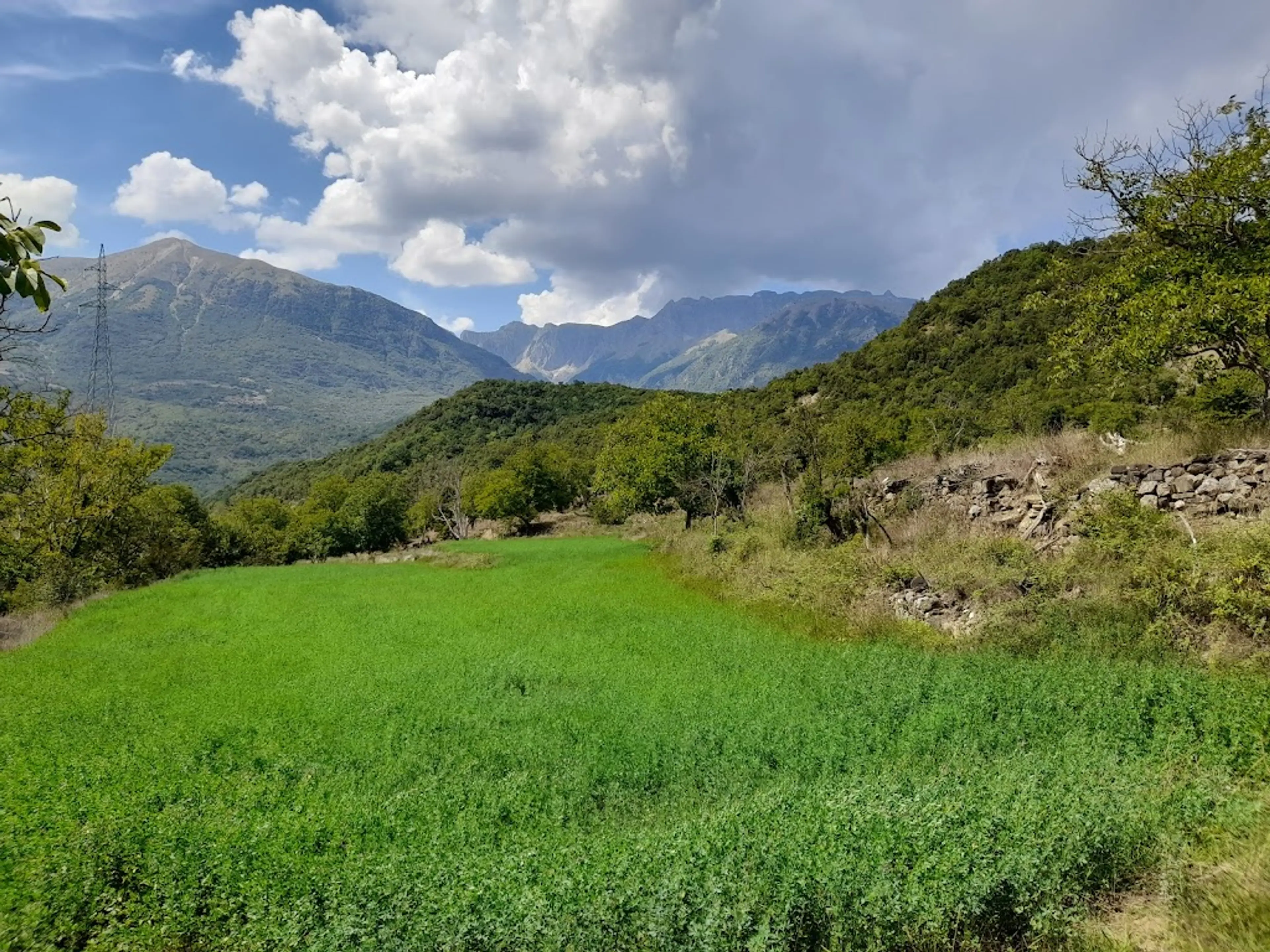 Çarshovë Village