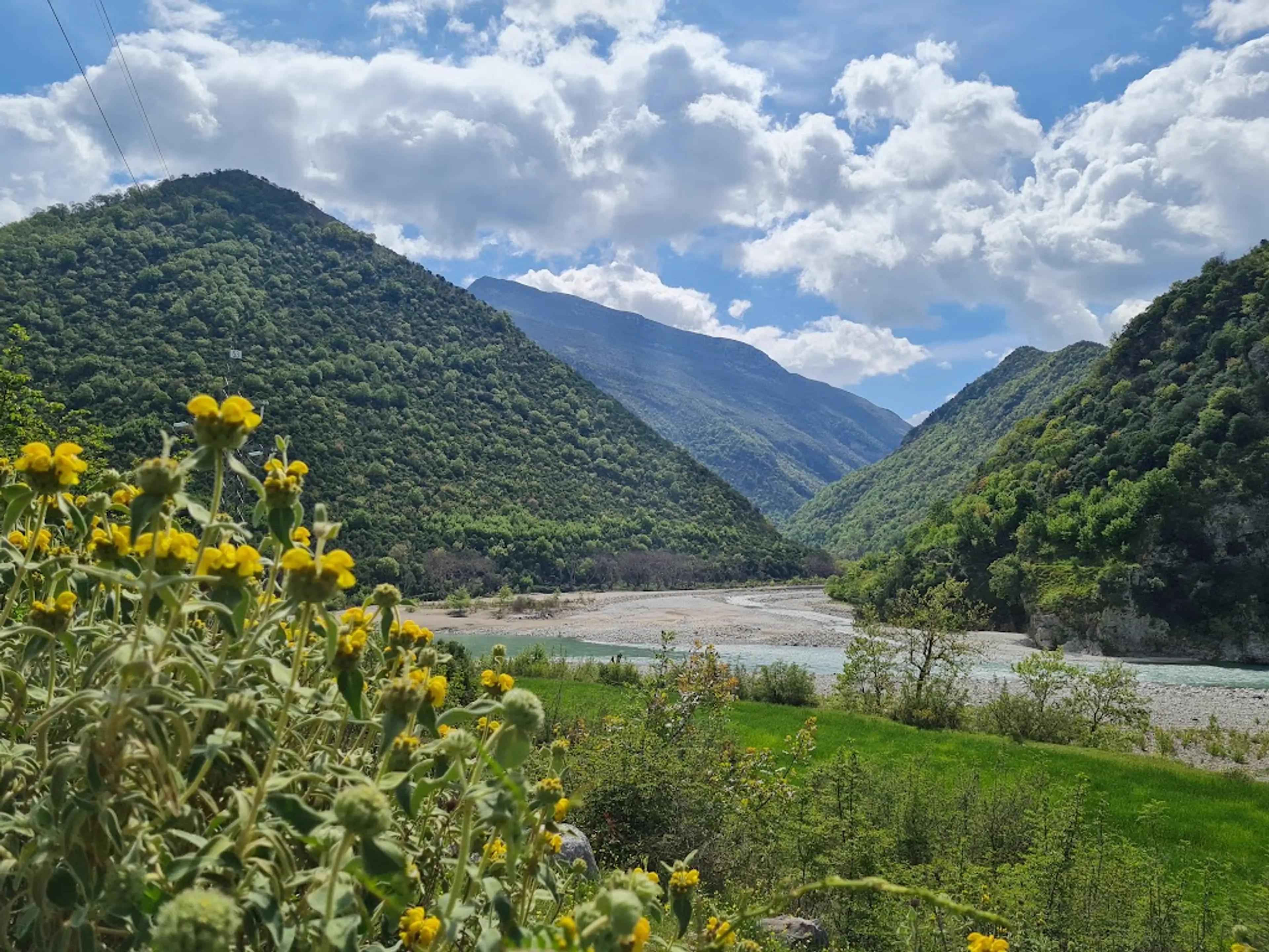Guided bird-watching tour