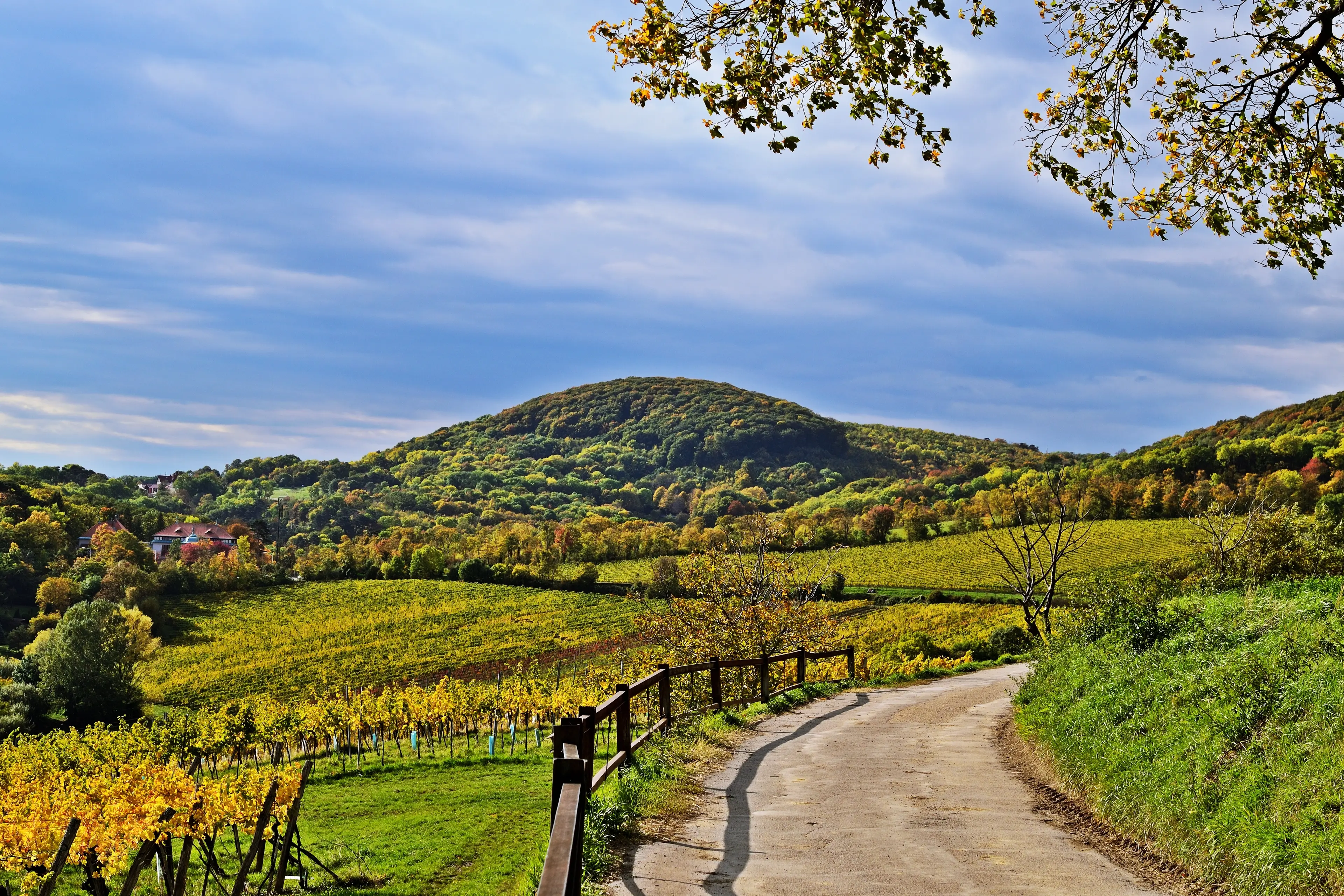 Kahlenberg